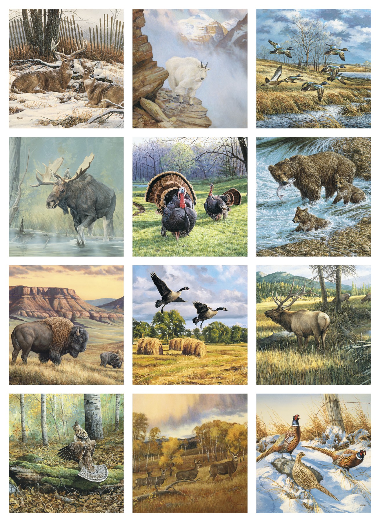 Picture of Triumph® Calendars Wildlife Art Calendar
