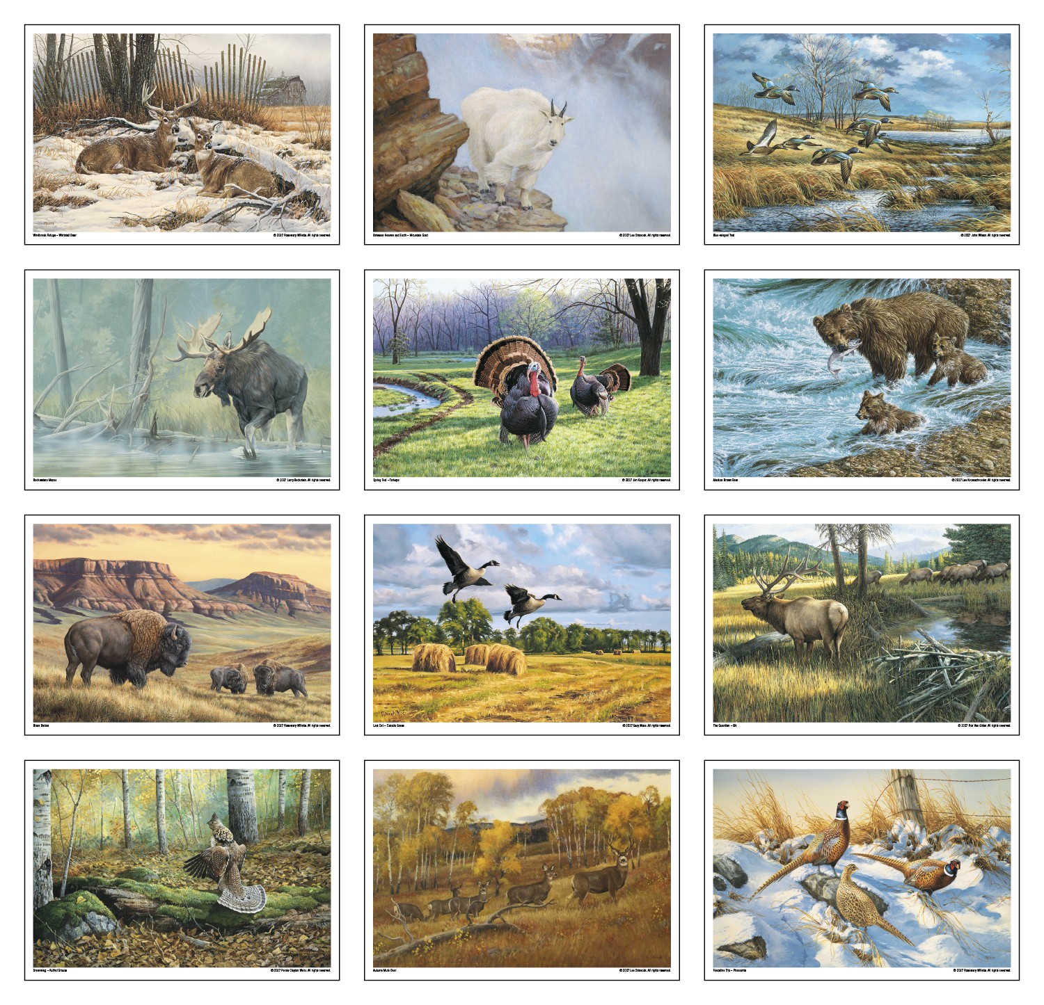 Picture of Triumph® Calendars Wildlife Art Calendar