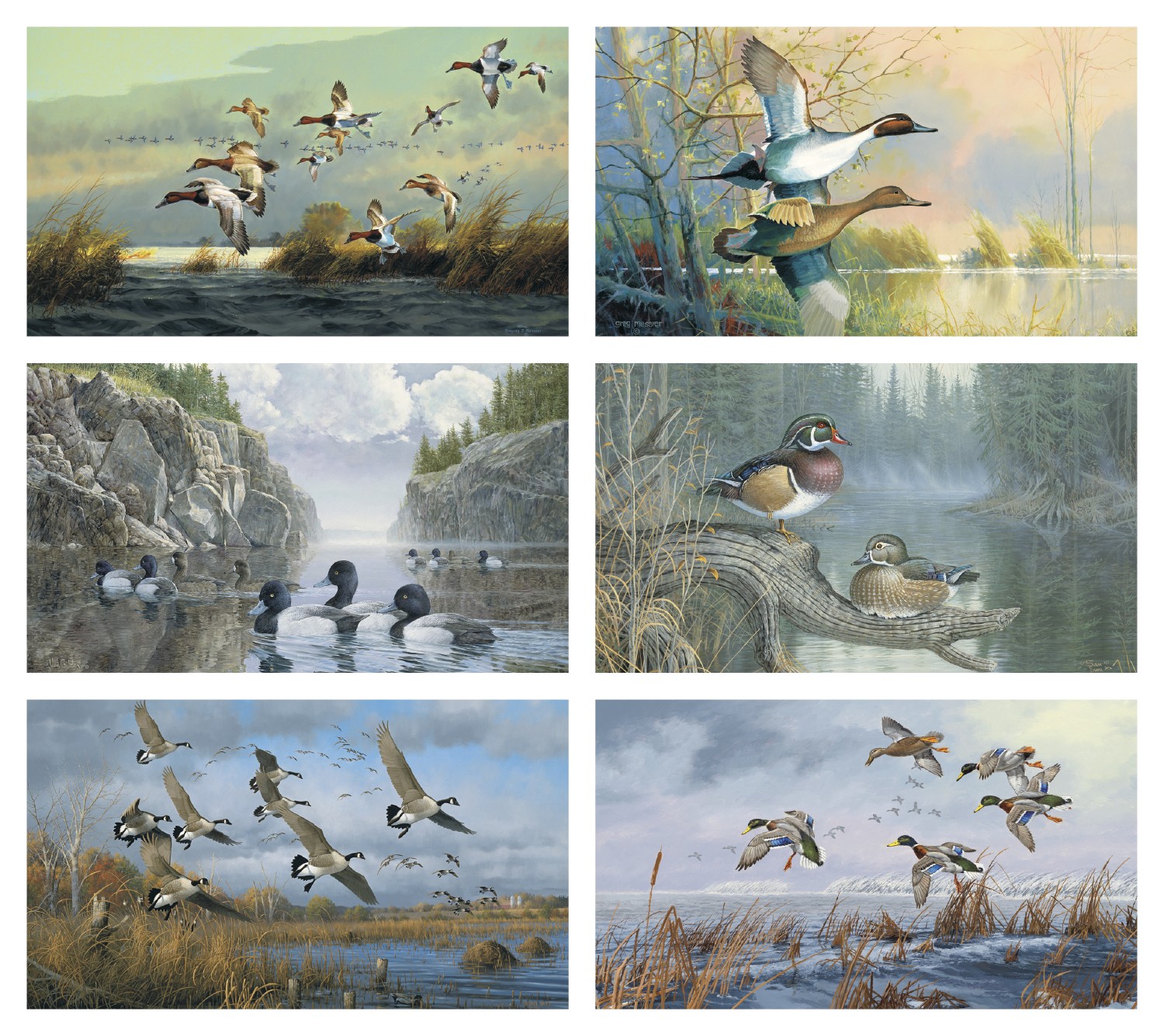 Picture of Triumph® Calendars North American Waterfowl Calendar