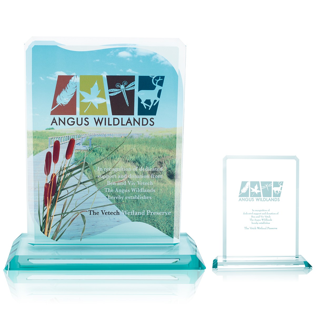 Picture of JAFFA® Clipped Jade Crystal Award