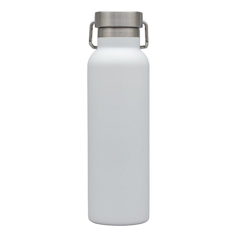 Picture of Splendid 22 oz. Double Wall Stainless Steel Bottle