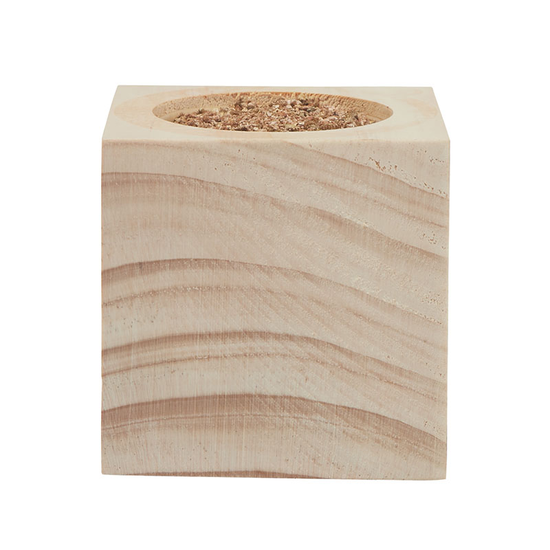 Picture of Sprigbox Christmas Tree Grow Kit