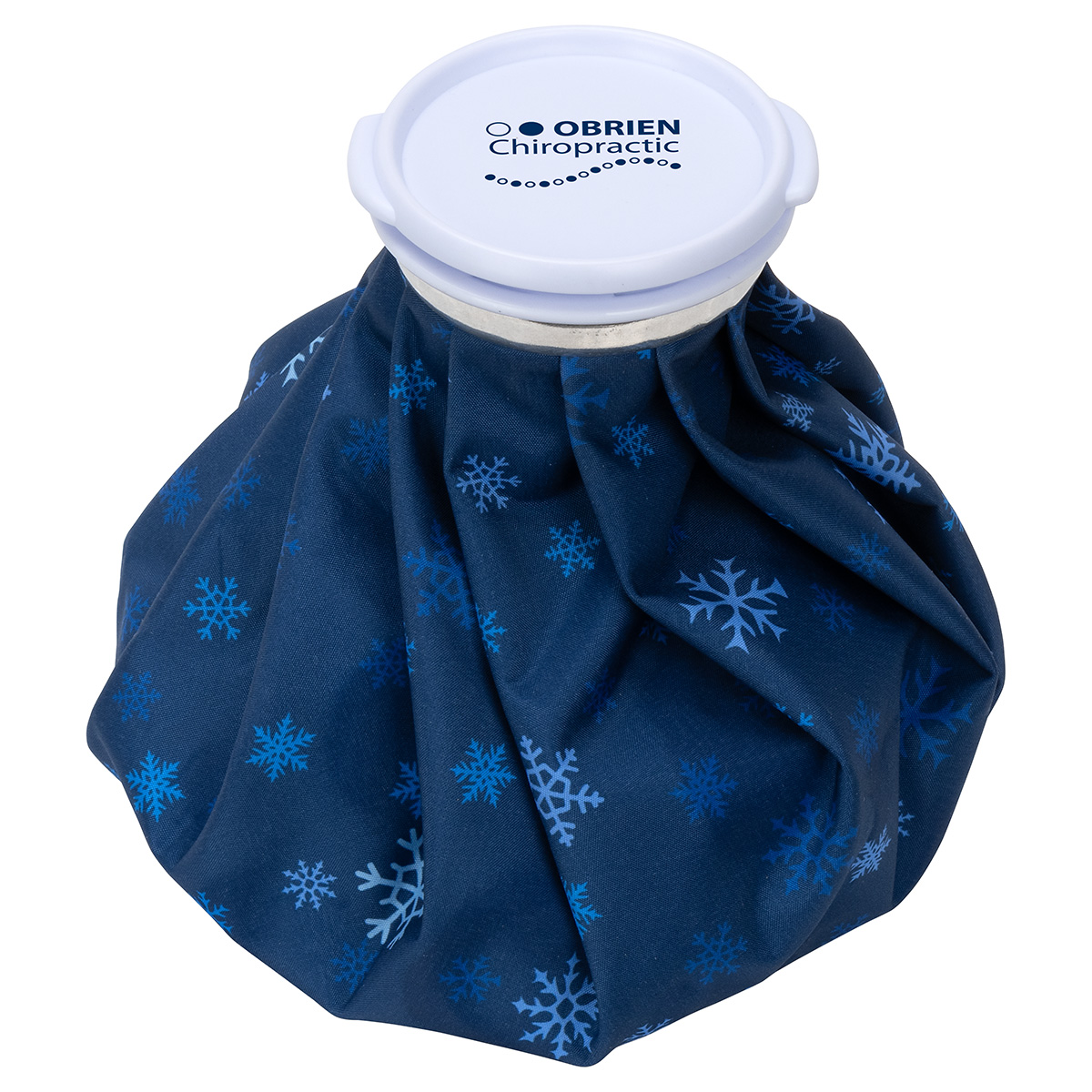 Picture of Chiller Large Ice Bag