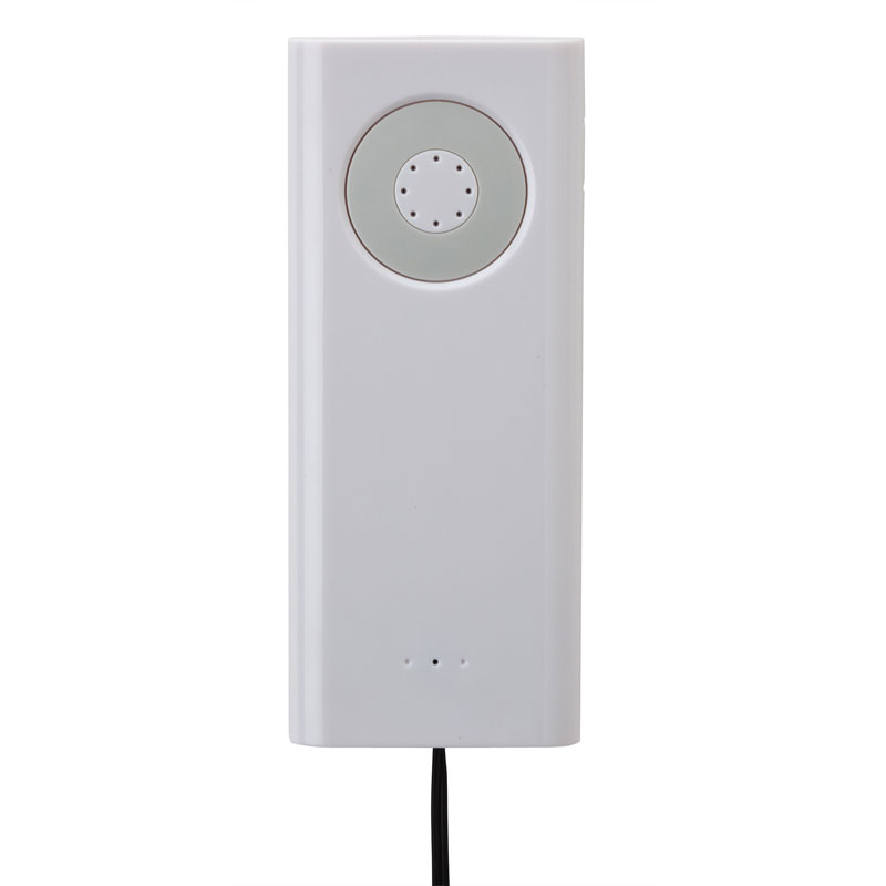 Picture of Internet Phone