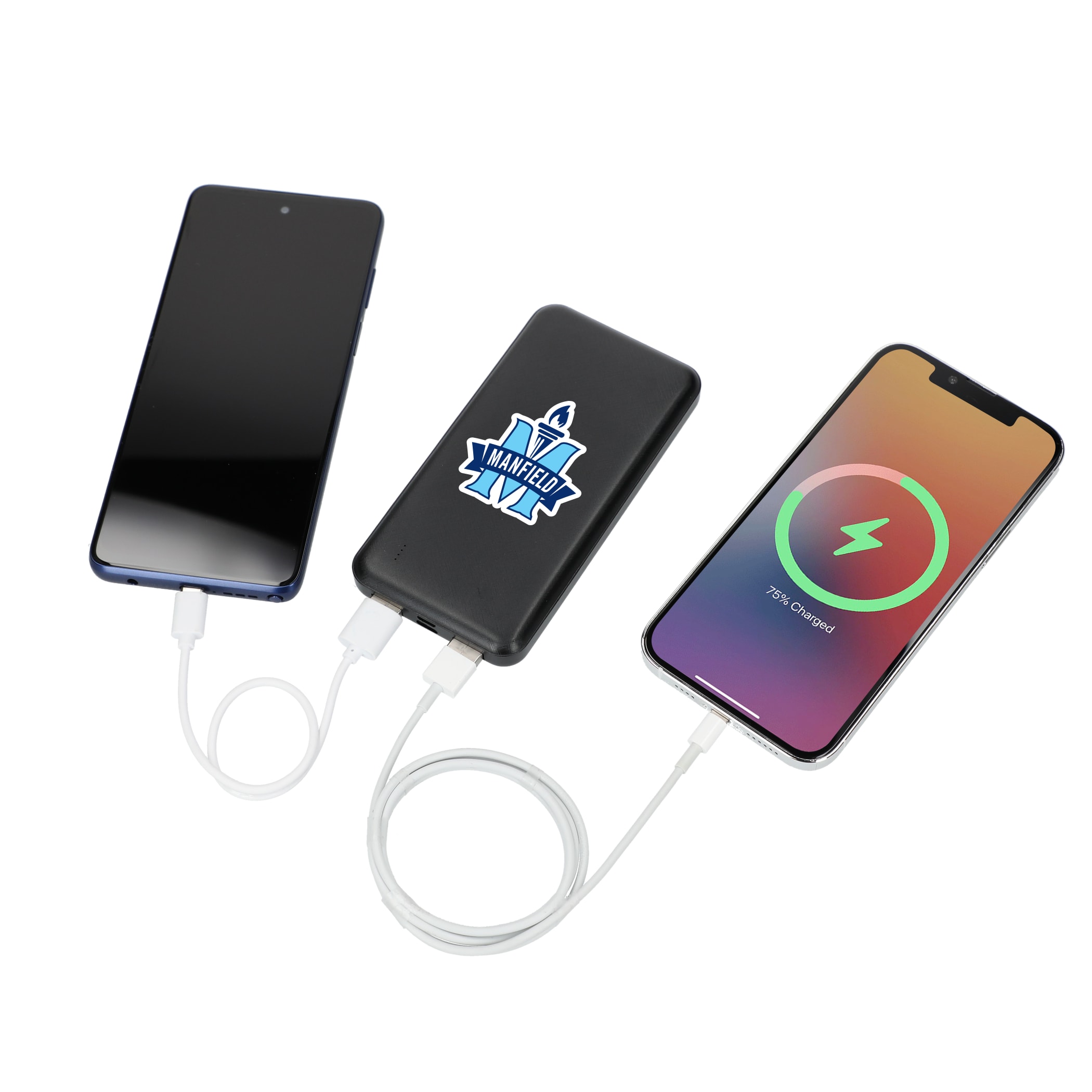 Picture of Dart 10000 mAh Power Bank