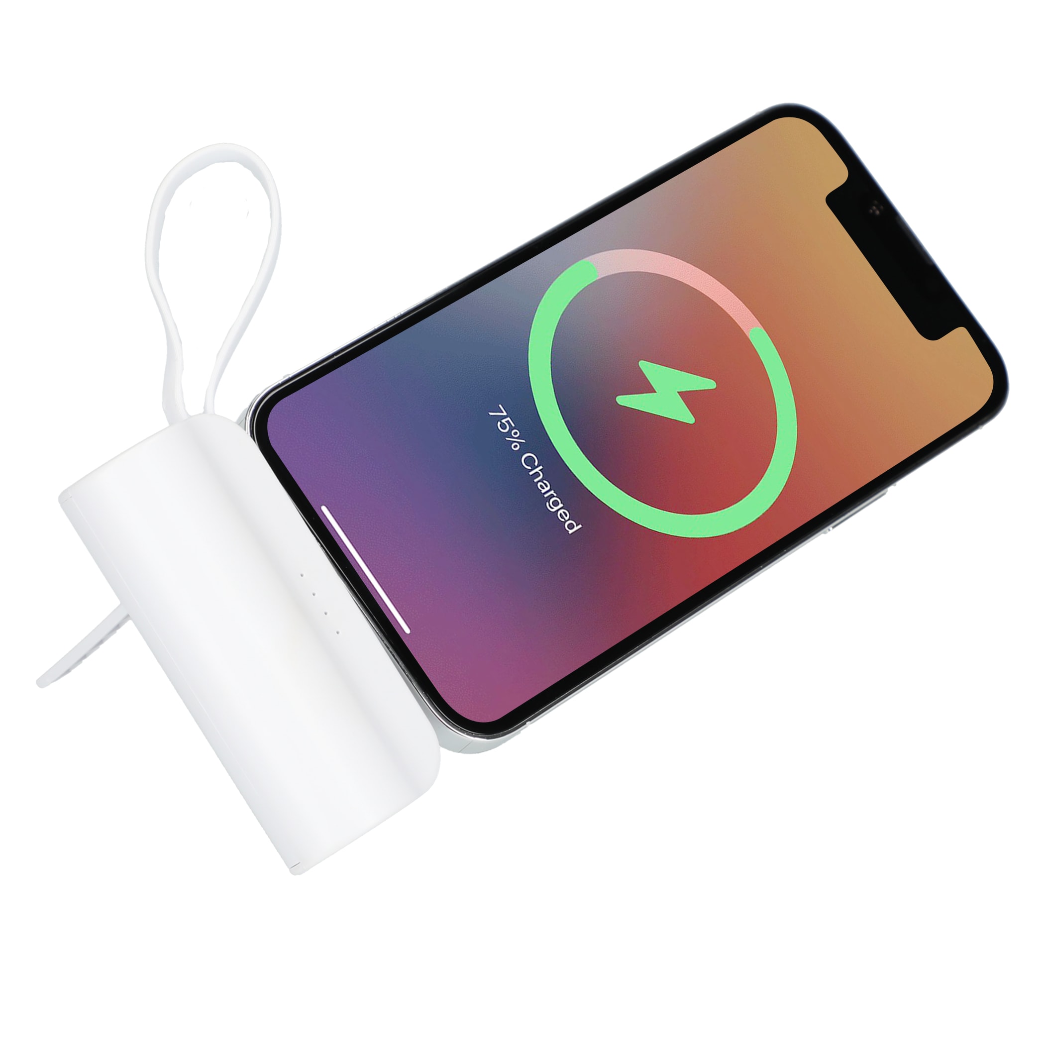 Picture of Hue 5000 mAh Power Bank with Multi Tips