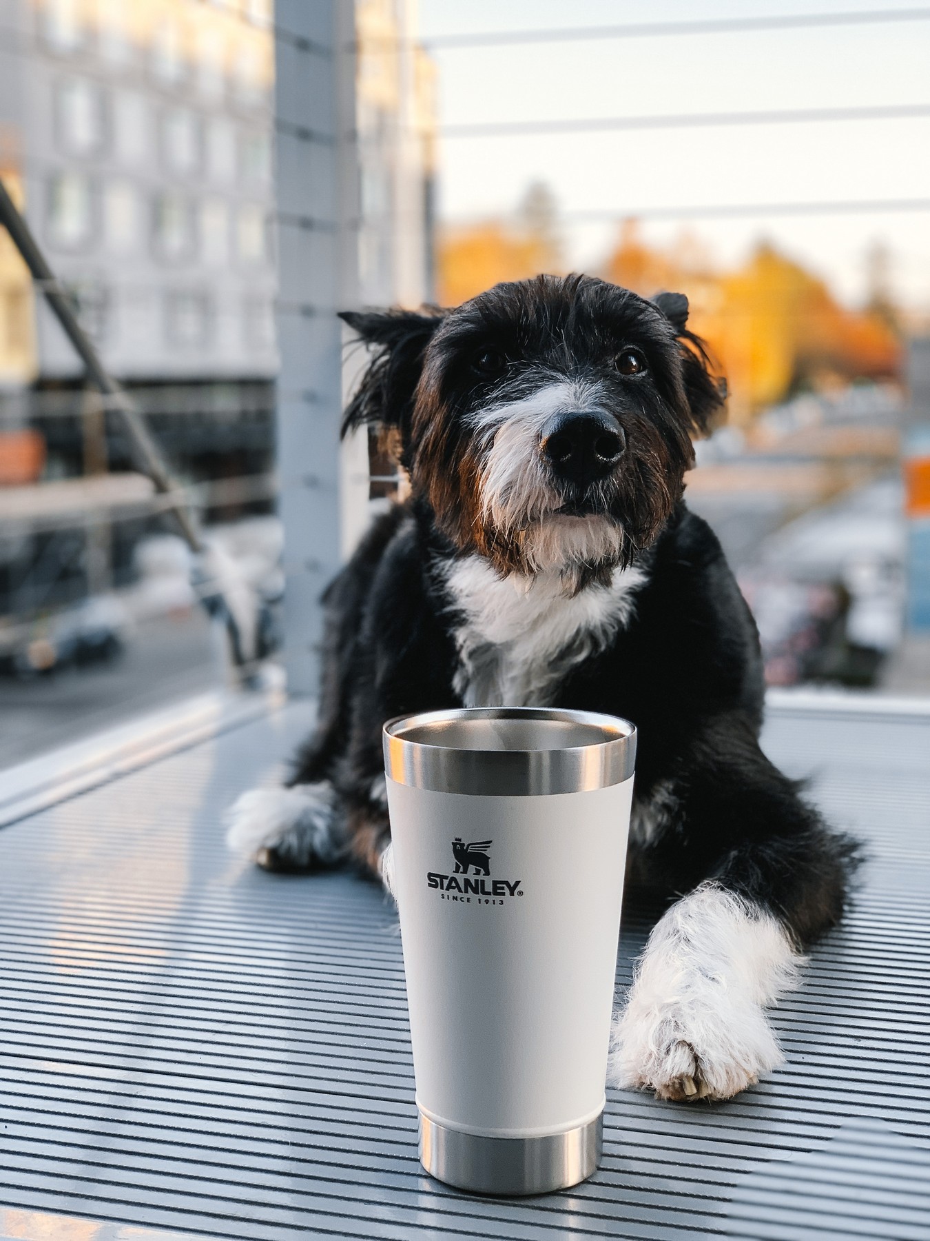 Picture of Stanley Stay-Chill Stacking Pint 16oz