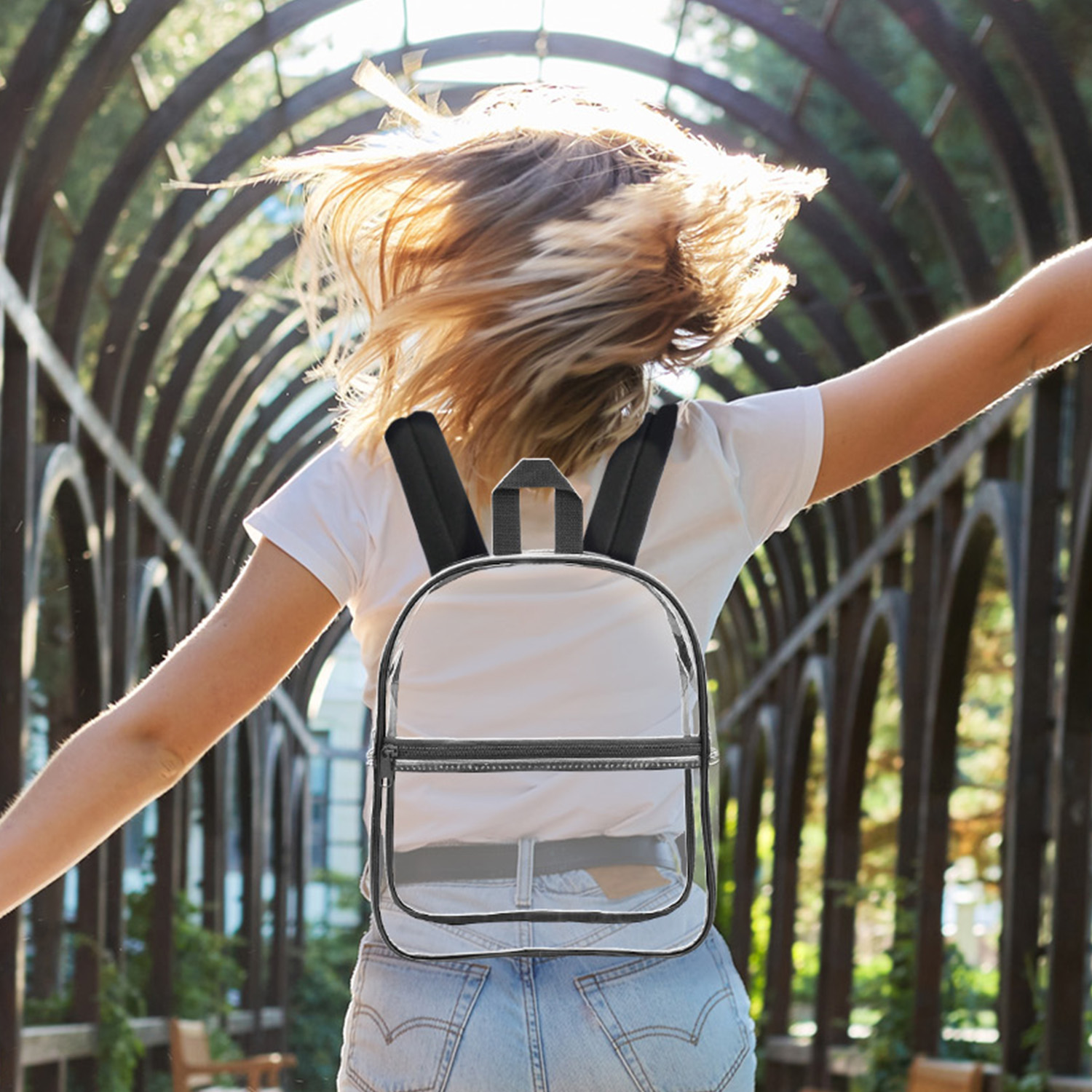 Picture of New Best Value Clear Mini Stadium Compliant Backpack