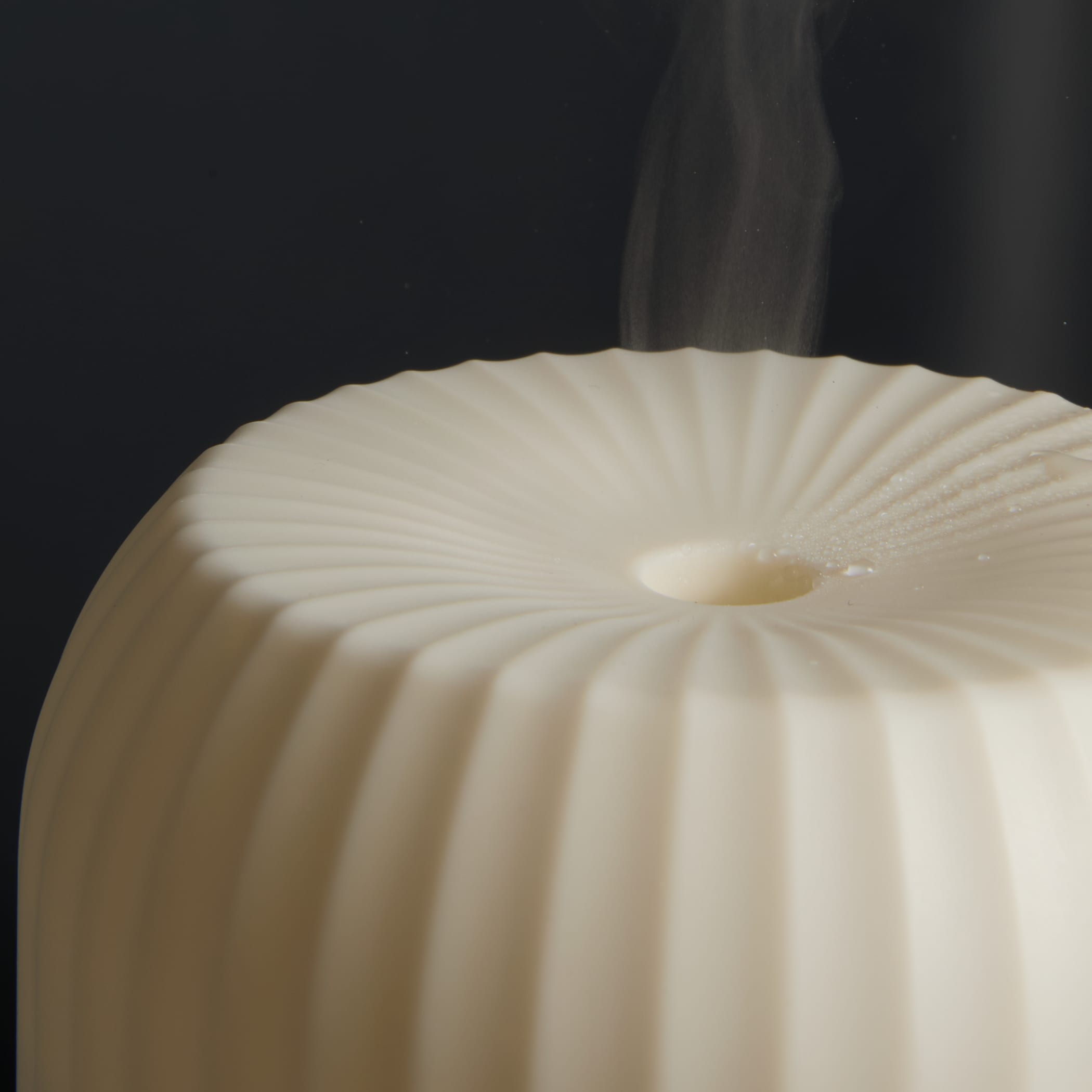 Picture of Wellable™ Ambient Light Humidifier