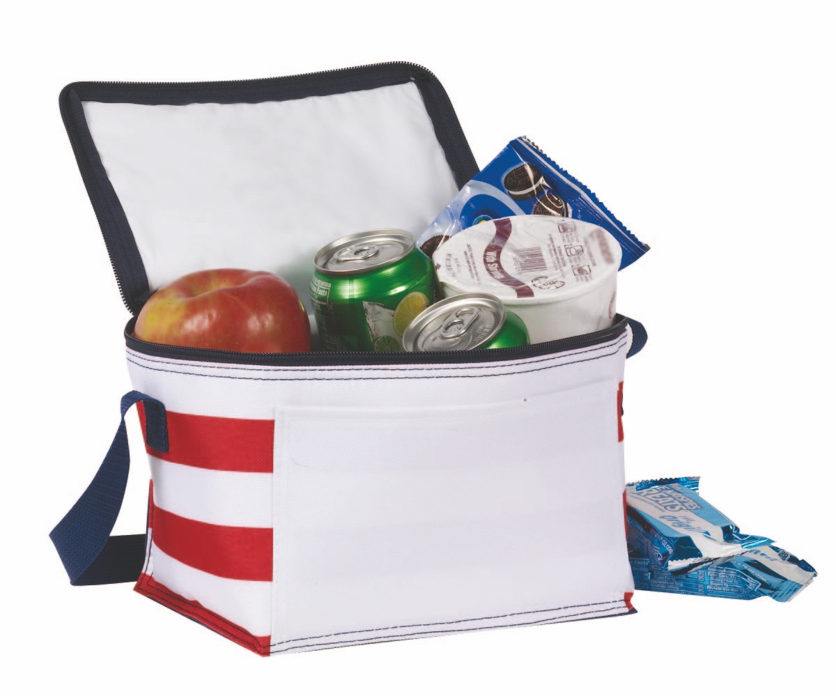 Picture of Patriotic / Election Campaign Cooler Bag