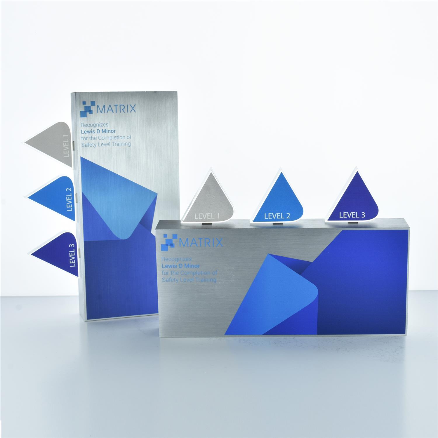 Picture of Magnetism Award