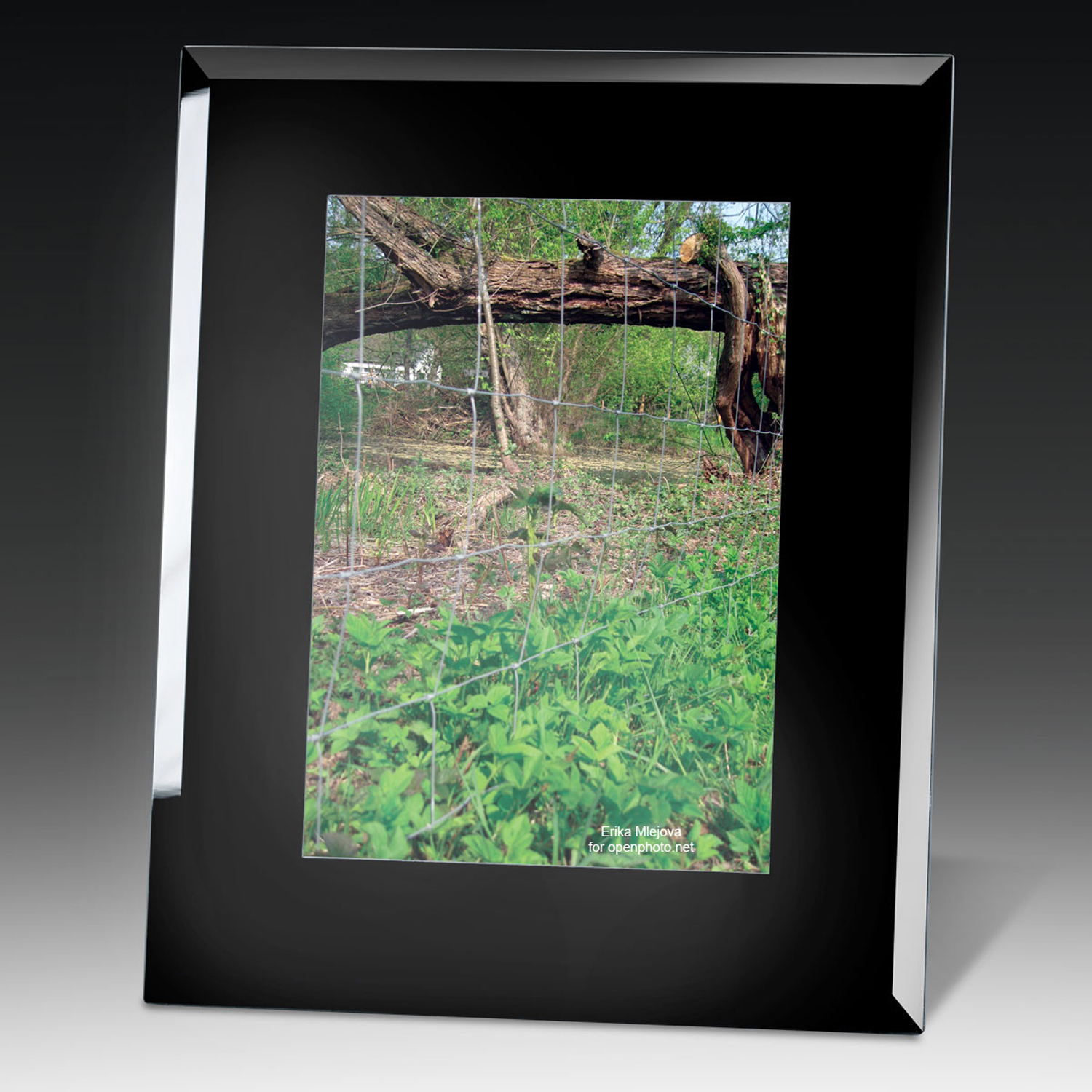 Picture of Black Glass Photo Frame