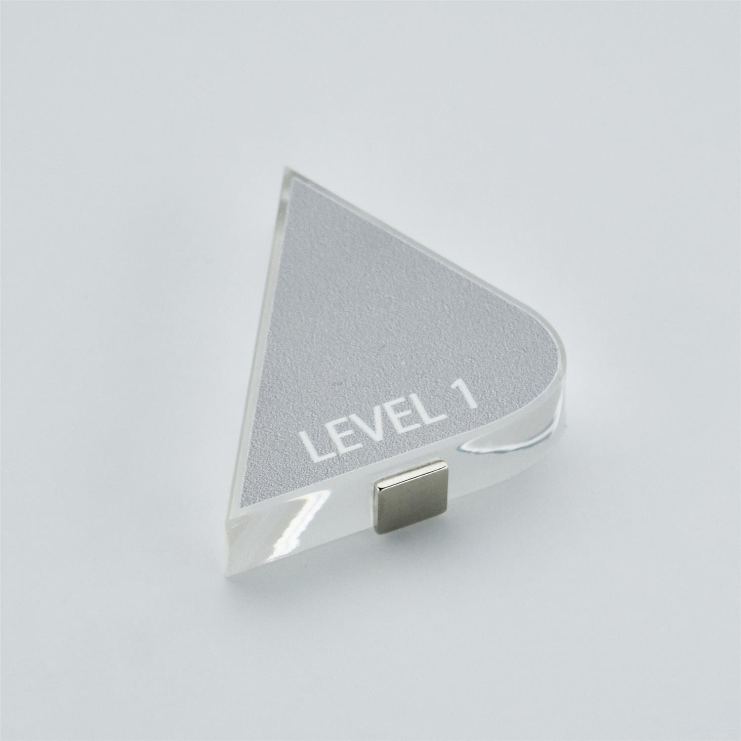 Picture of Custom Magnetic Award 13x6 Perpetual