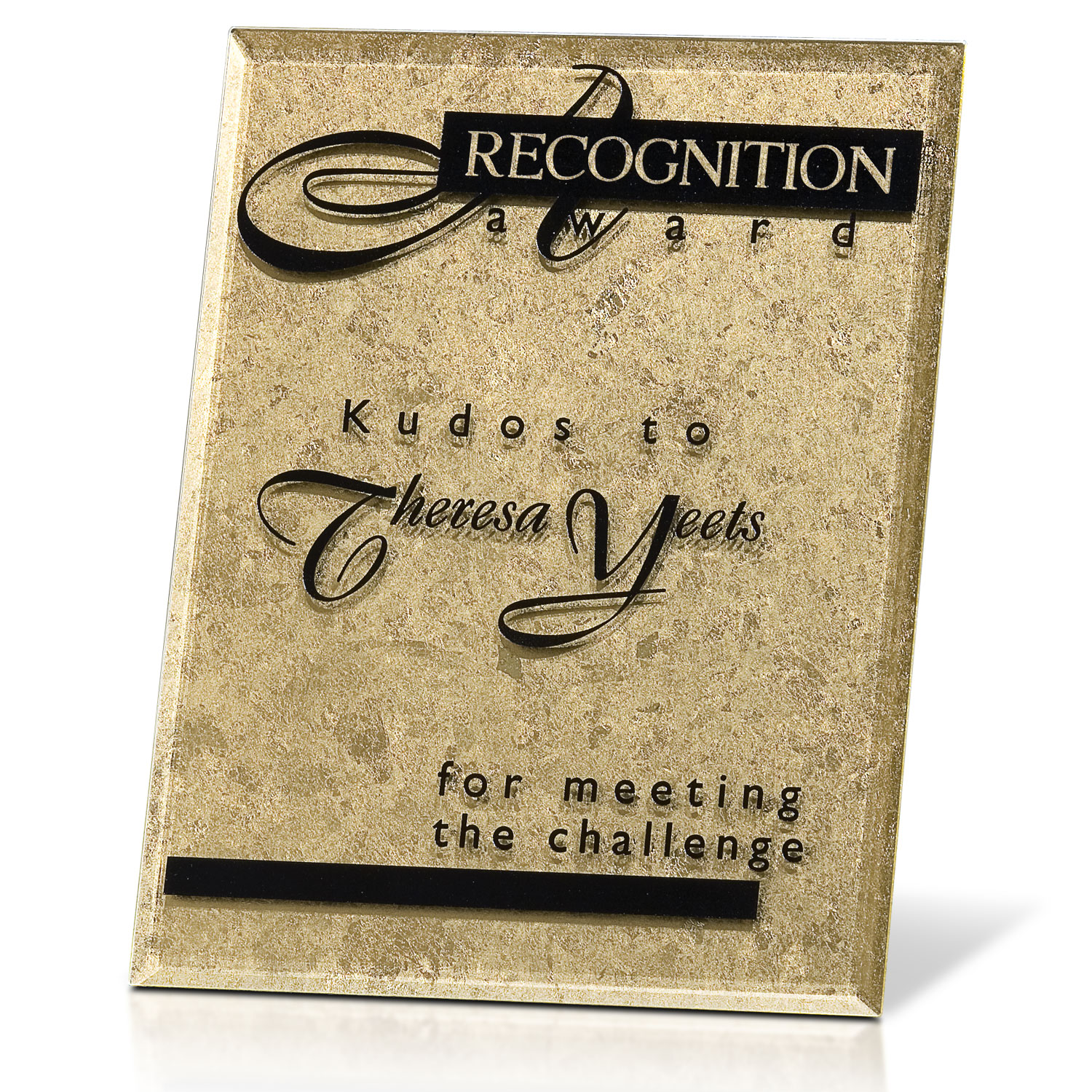 Picture of Gold Leafed Plaque - Gold Risk Taker 9x12
