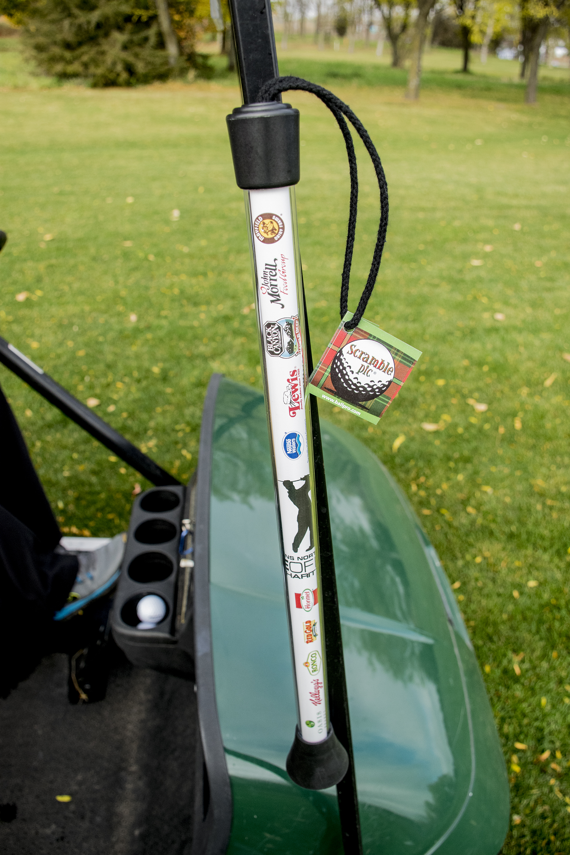 Picture of Scramble Pic Golf Tool