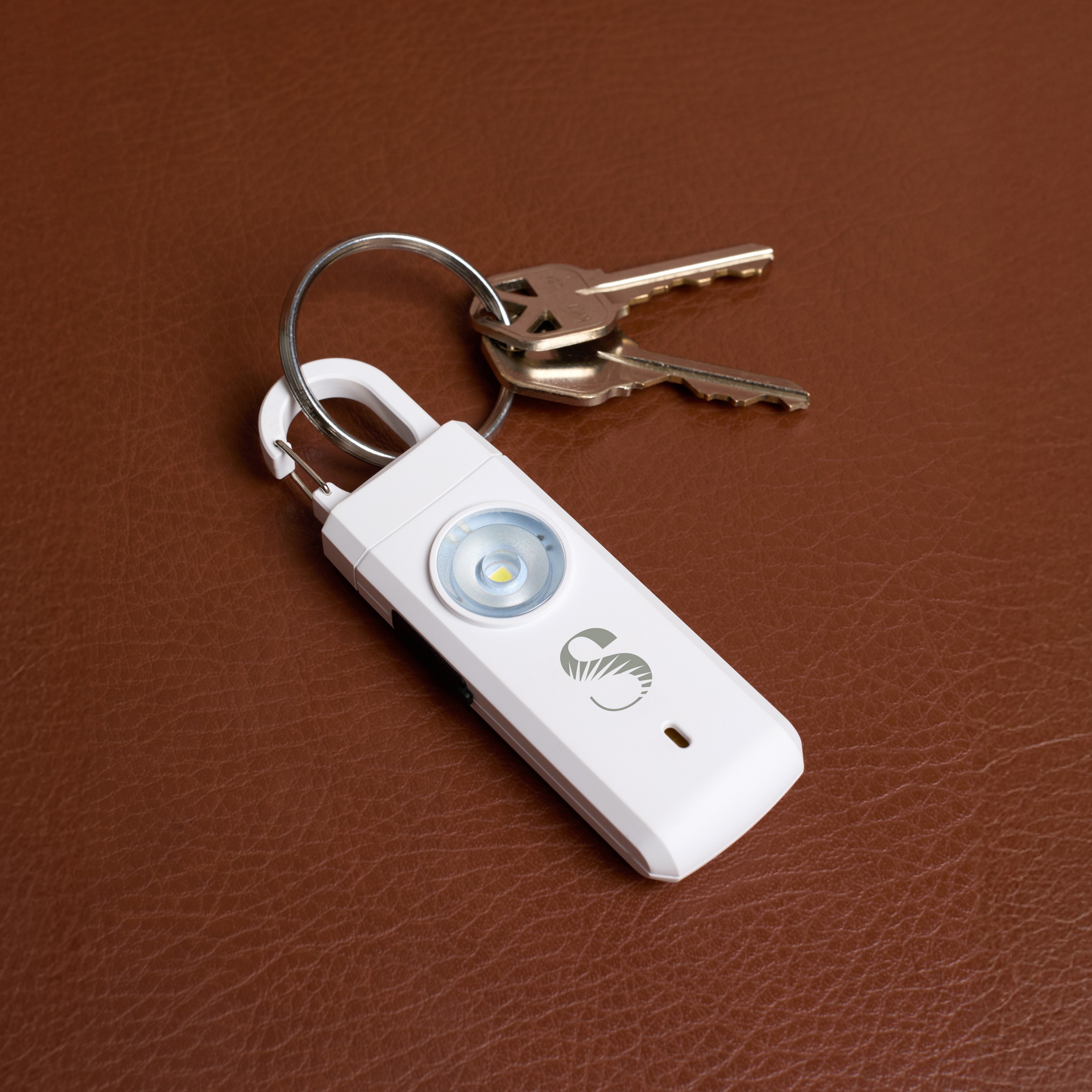 Picture of Safety Alarm Keychain