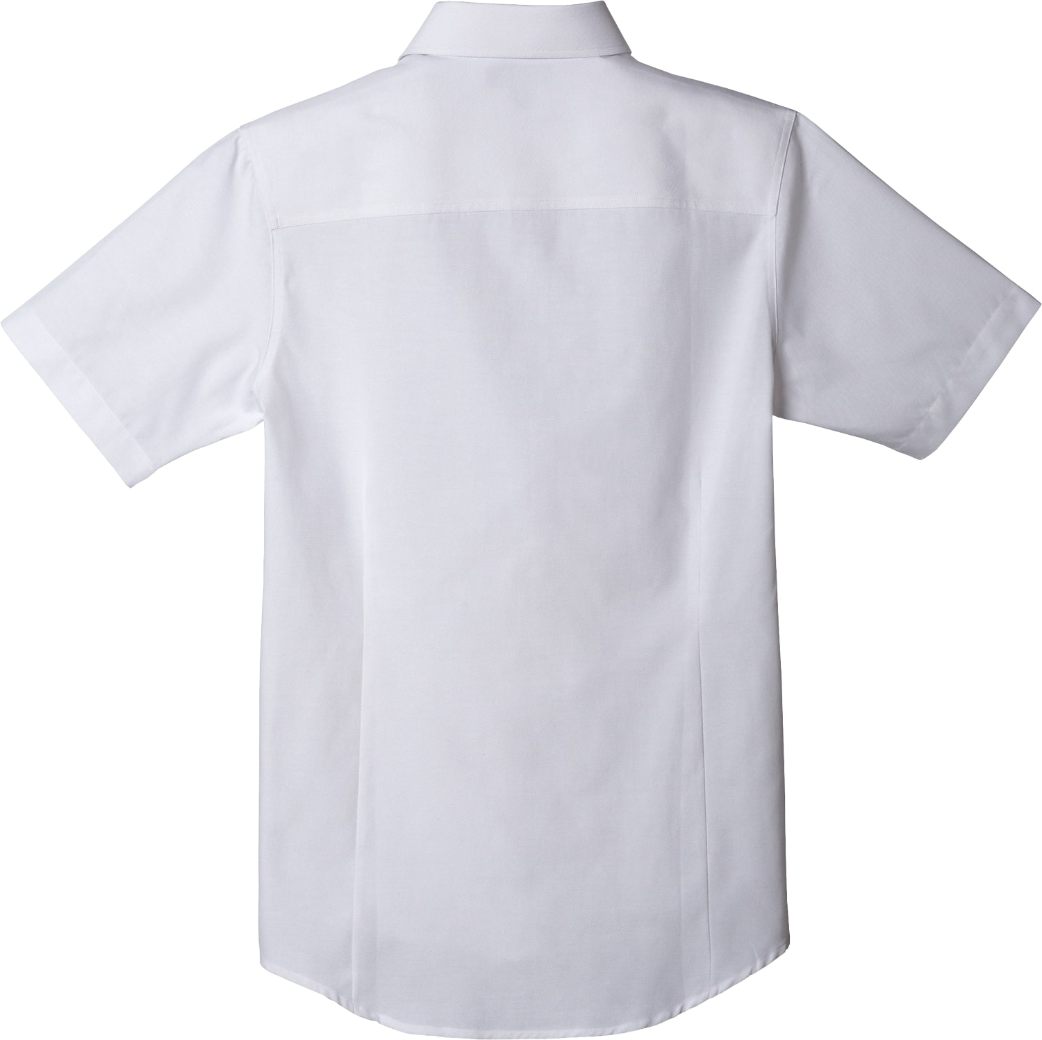 Picture of Women's LAMBERT Oxford Short Sleeve Button Up Shirt