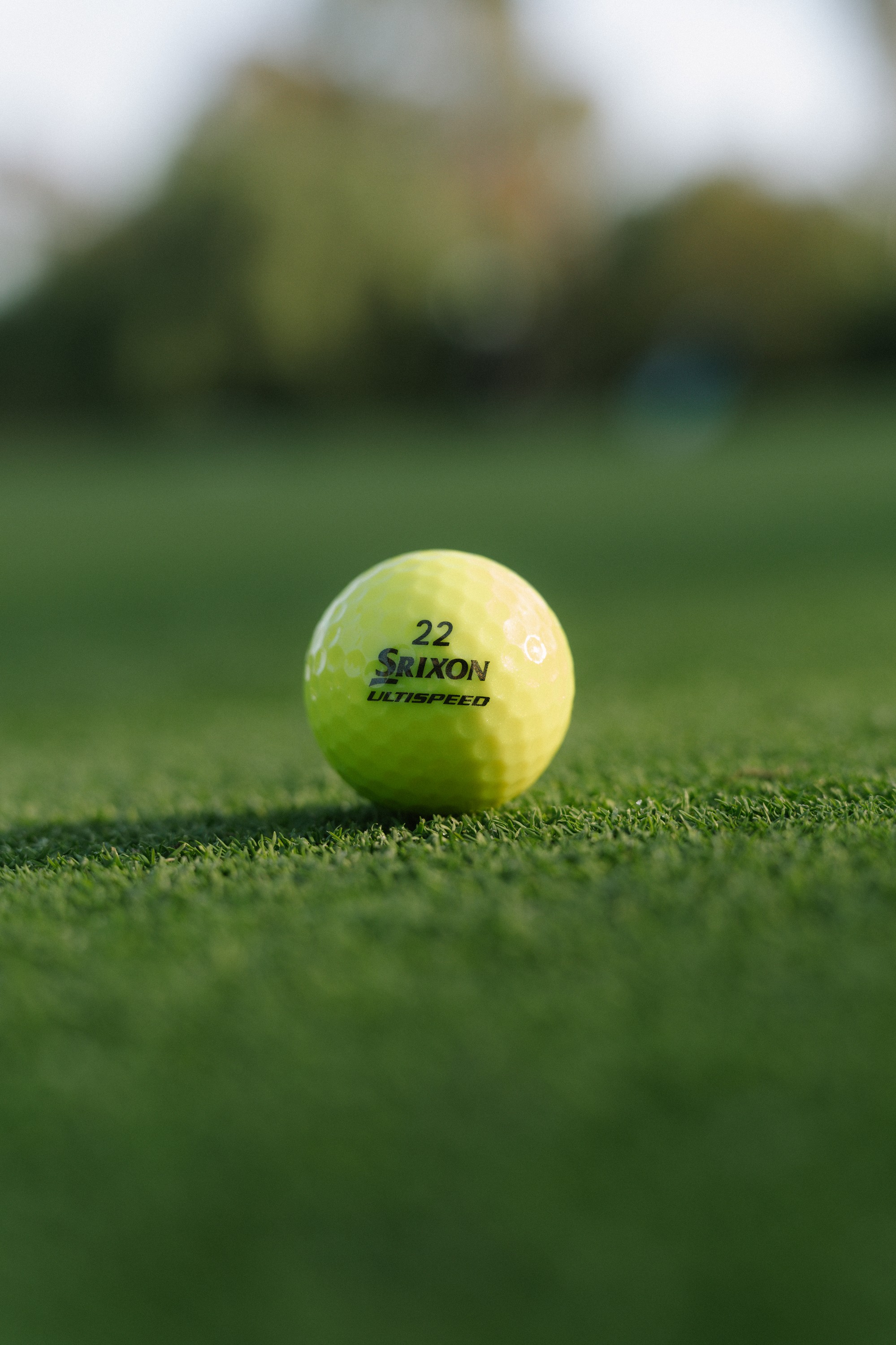 Picture of Srixon Q-STAR ULTISPEED Golf Balls - 12 Pack