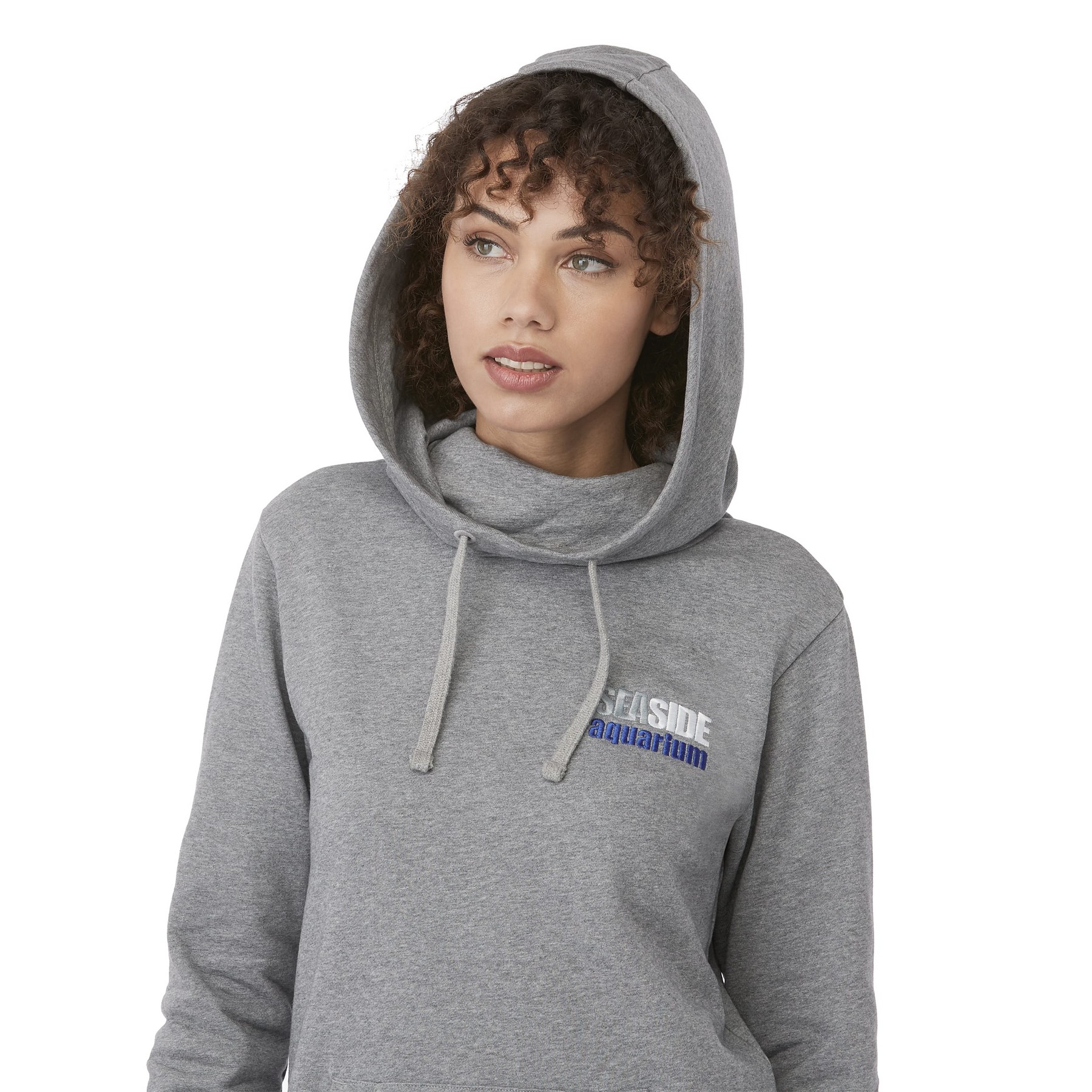 Picture of Women's tentree Organic Cotton Banshee Hoodie