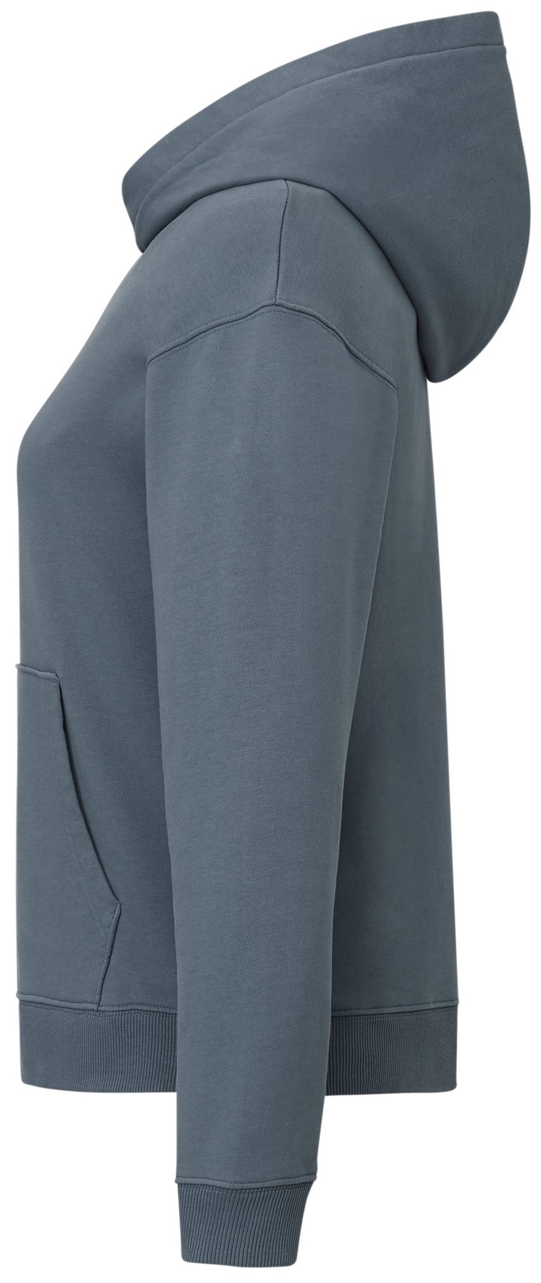 Picture of Women's tentree Organic Cotton French Terry Classic Hoodie