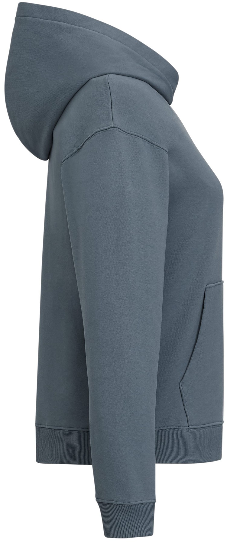 Picture of Women's tentree Organic Cotton French Terry Classic Hoodie