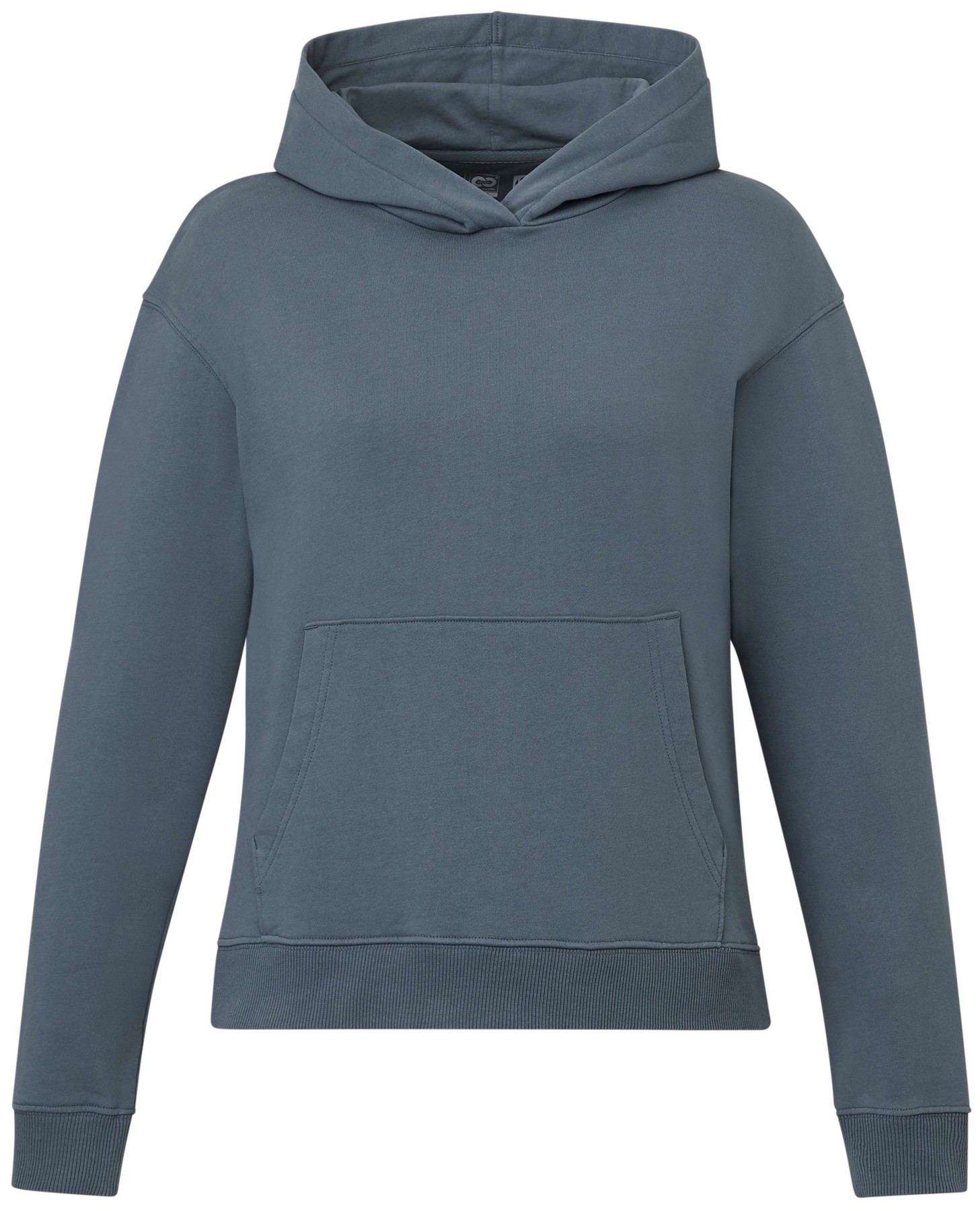 Picture of Women's tentree Organic Cotton French Terry Classic Hoodie