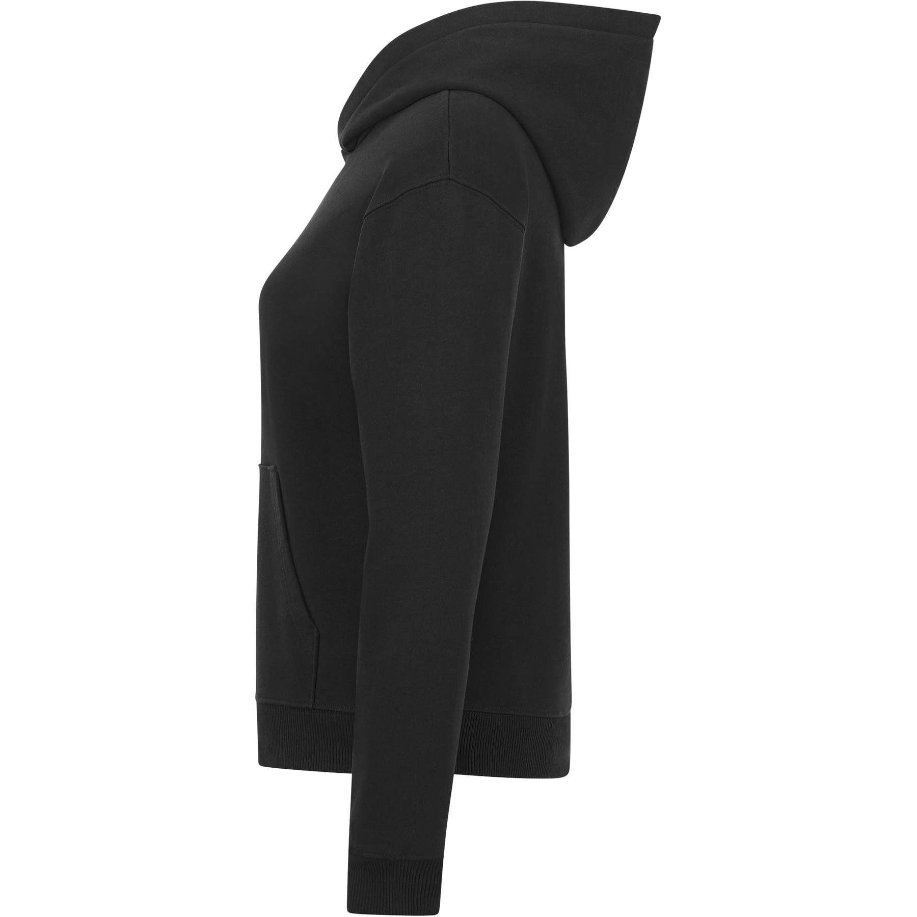 Picture of Women's tentree Organic Cotton French Terry Classic Hoodie