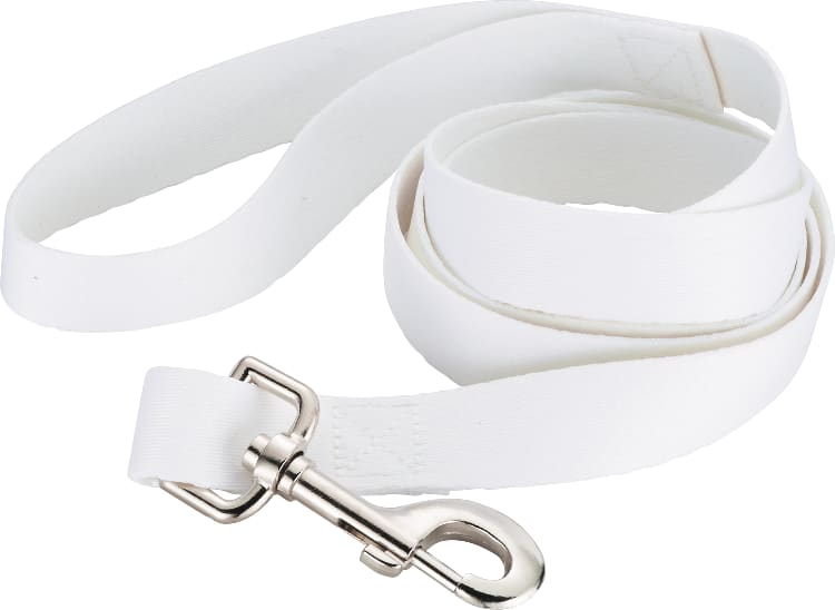 Picture of Full Color 1'' Wide Premium Pet Leash