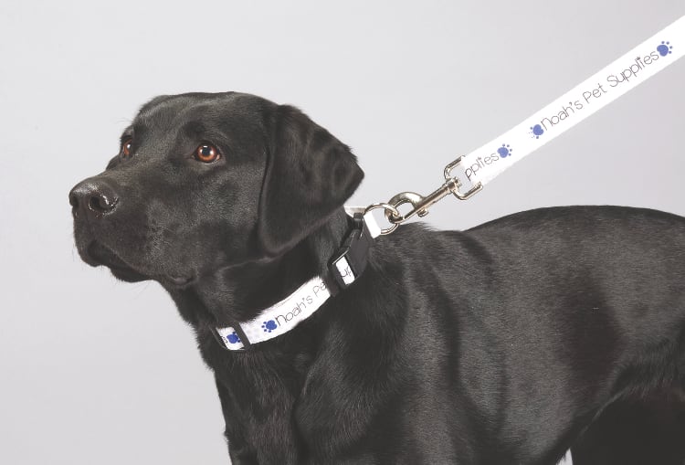 Picture of Full Color 1'' Wide Premium Pet Leash
