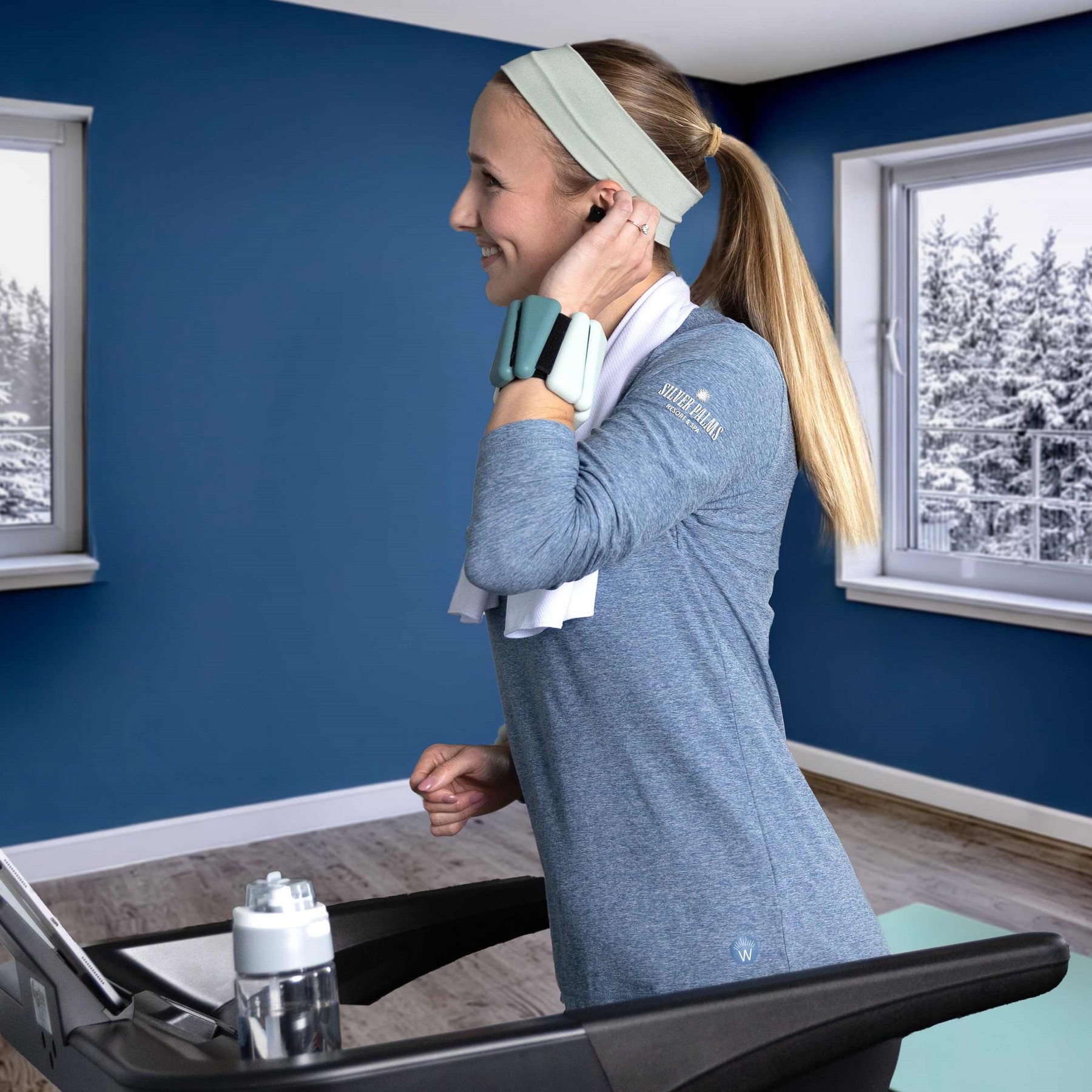 Picture of Wellable Wearable Weights