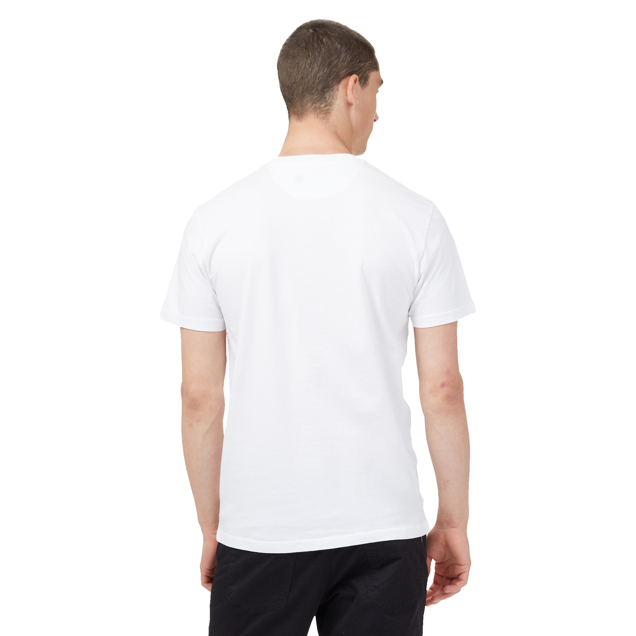 Picture of Men's tentree Organic Cotton Short Sleeve Tee