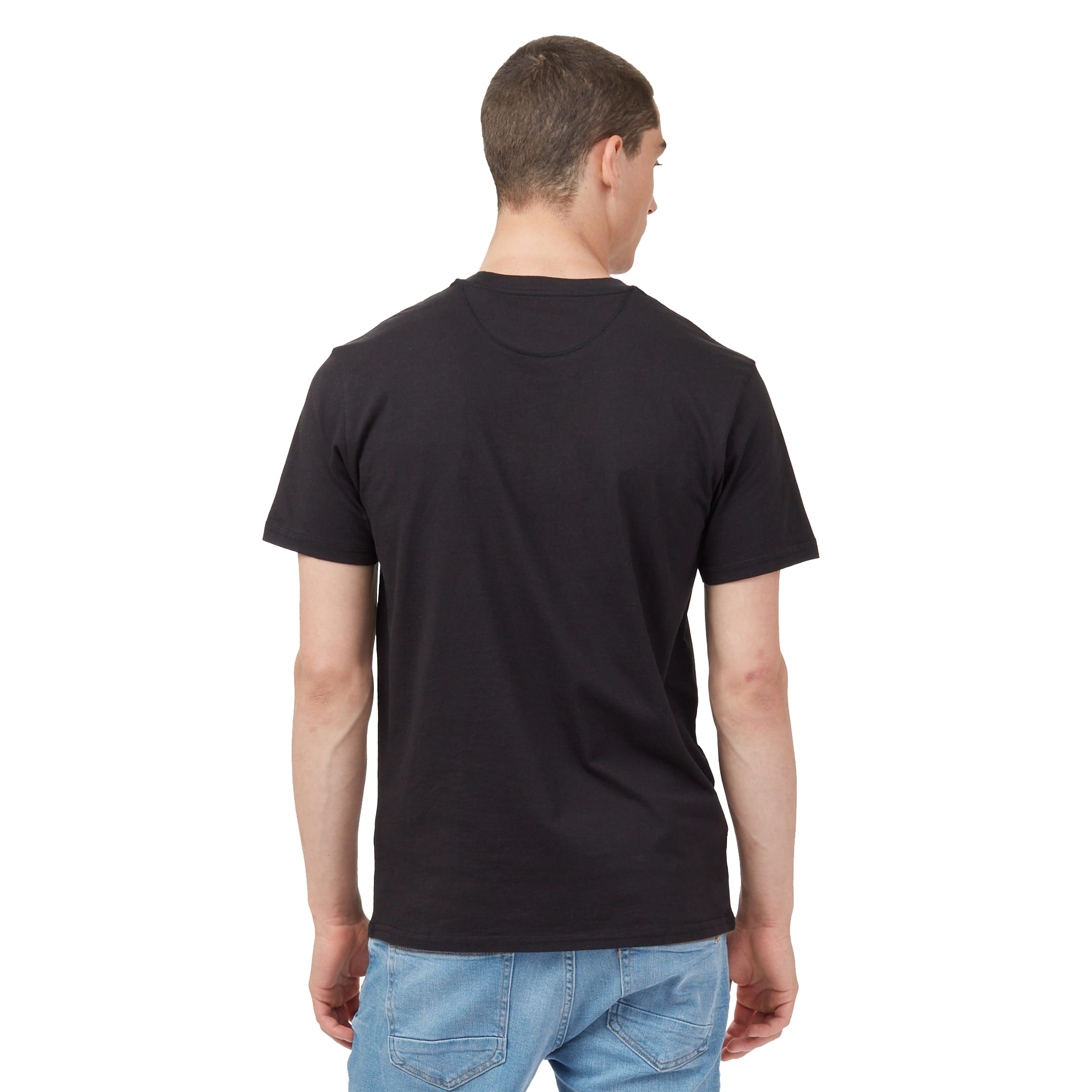 Picture of Men's tentree Organic Cotton Short Sleeve Tee