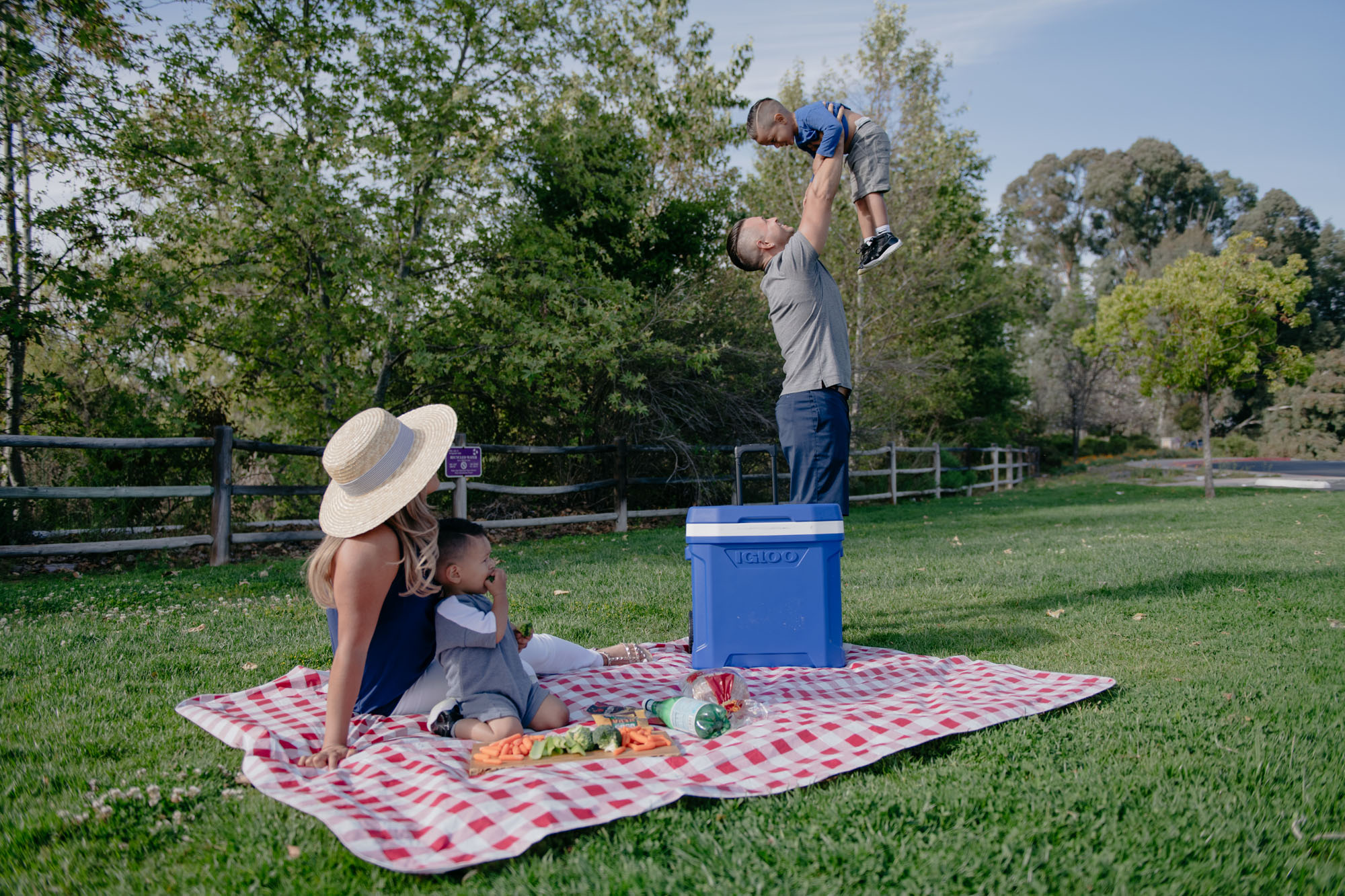 Picture of Igloo Profile II 28 Qt Roller Cooler - White-Majestic Blue