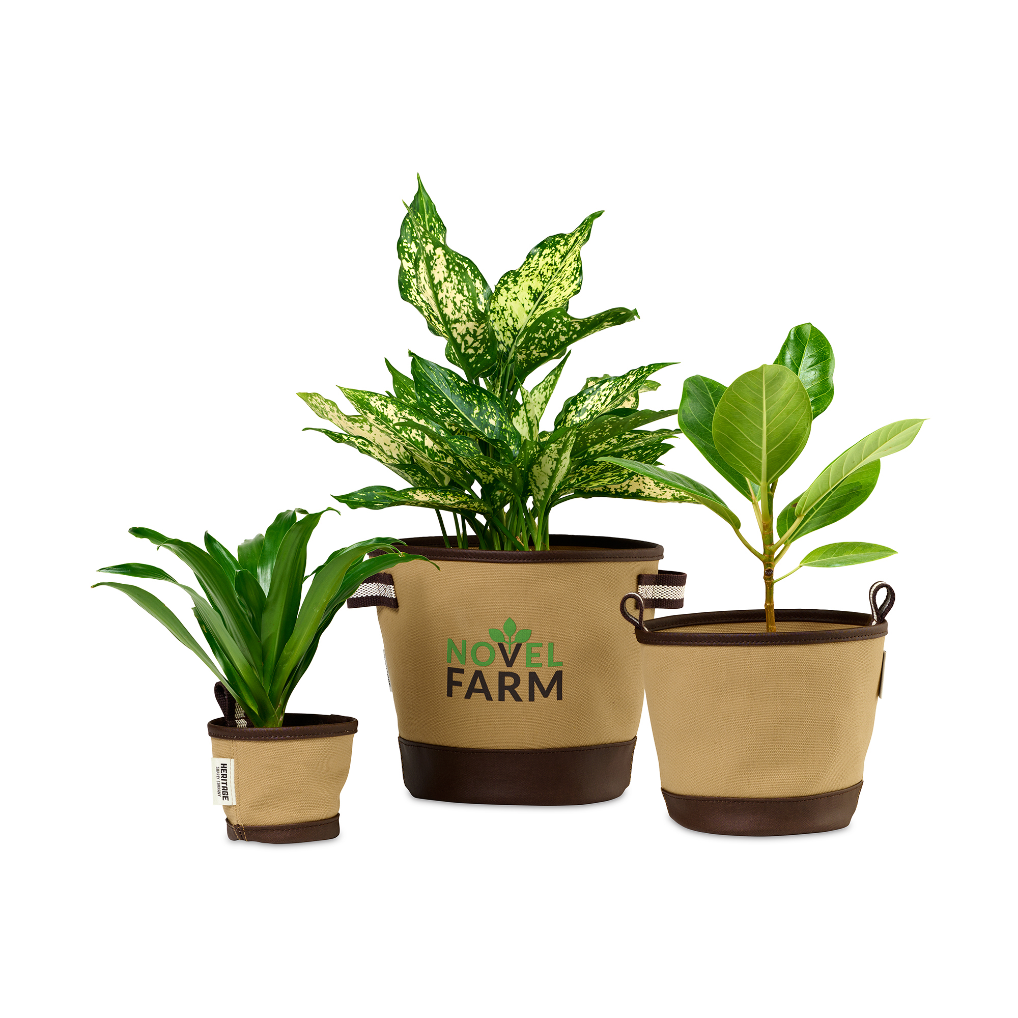 Picture of Heritage Supply Plant, Grow and Store Trio of Pots - Dune