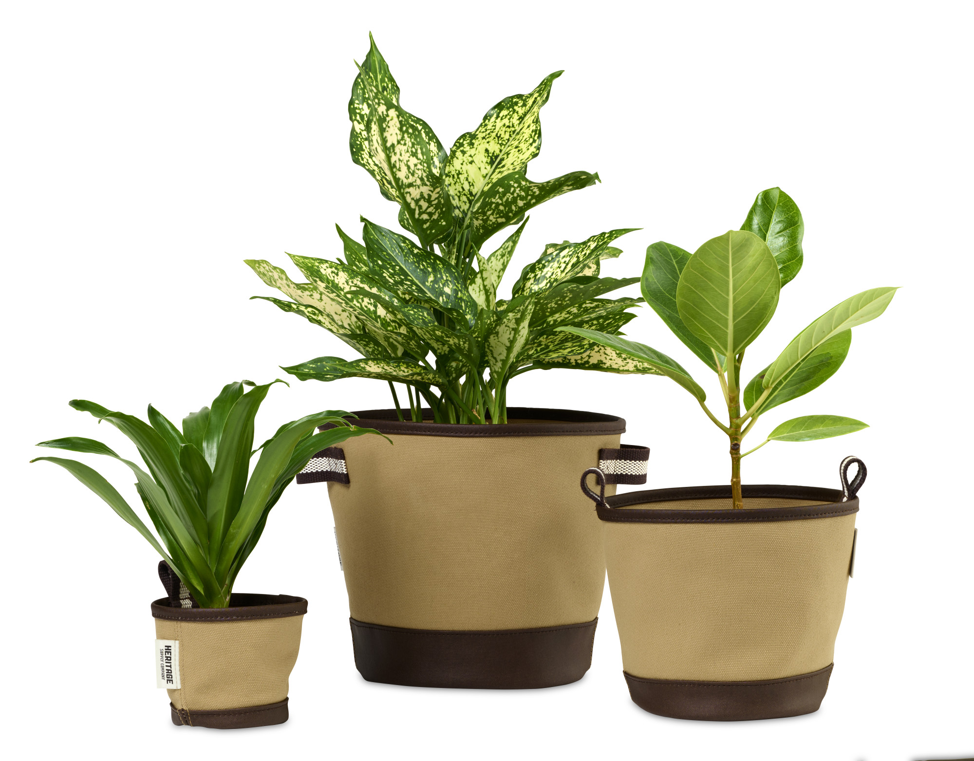 Picture of Heritage Supply Plant, Grow and Store Trio of Pots - Dune
