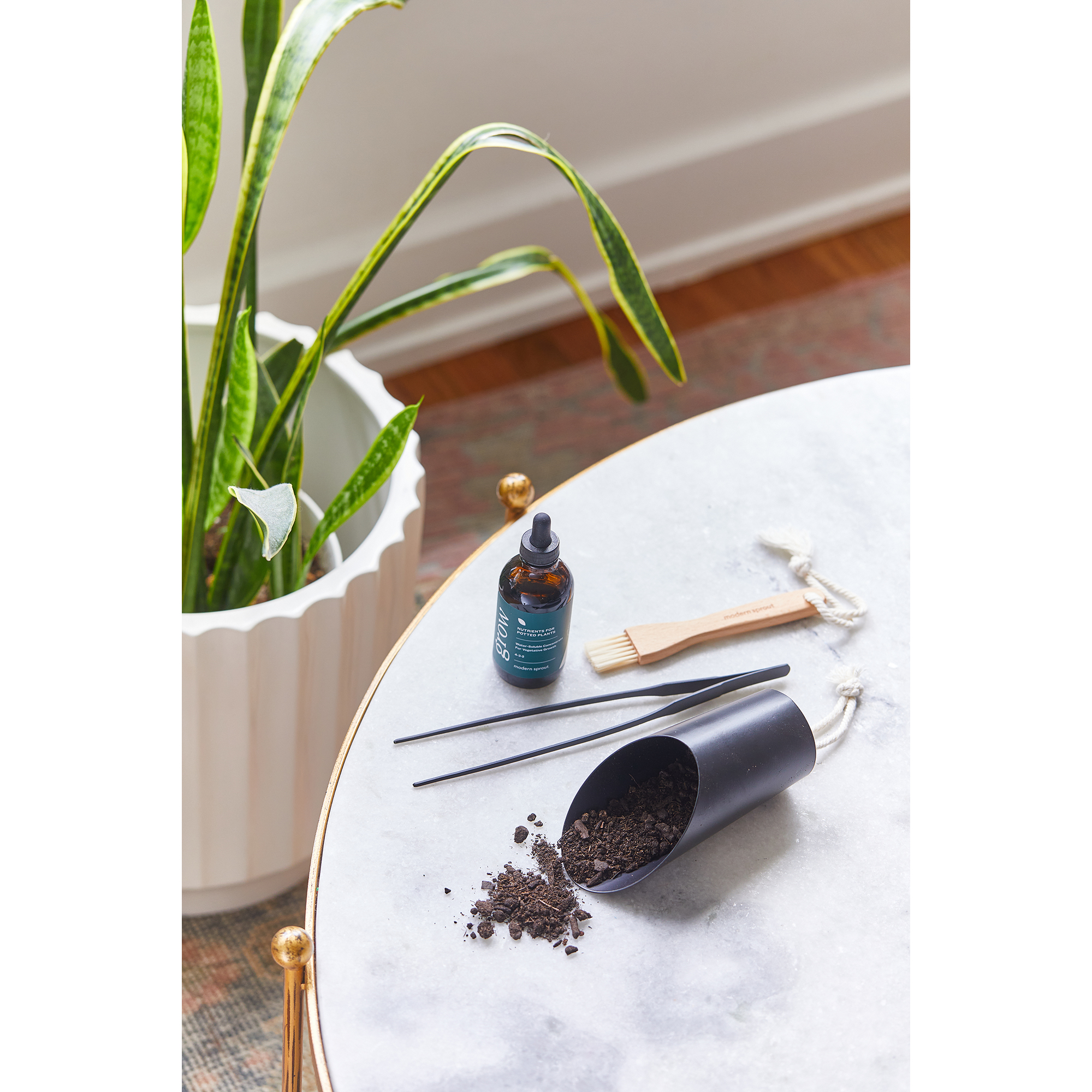Picture of Modern Sprout Plant Parent Care Kit - Black
