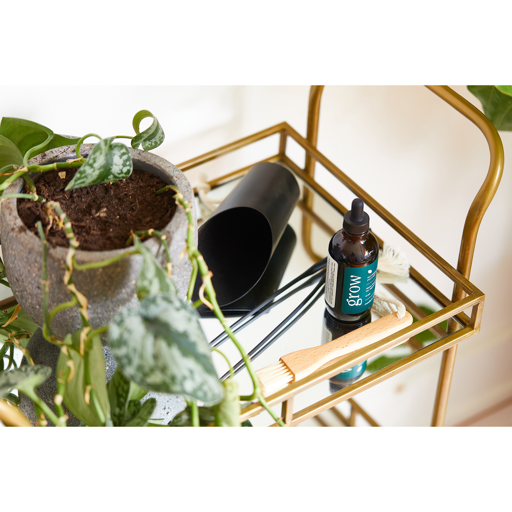 Picture of Modern Sprout Plant Parent Care Kit - Black