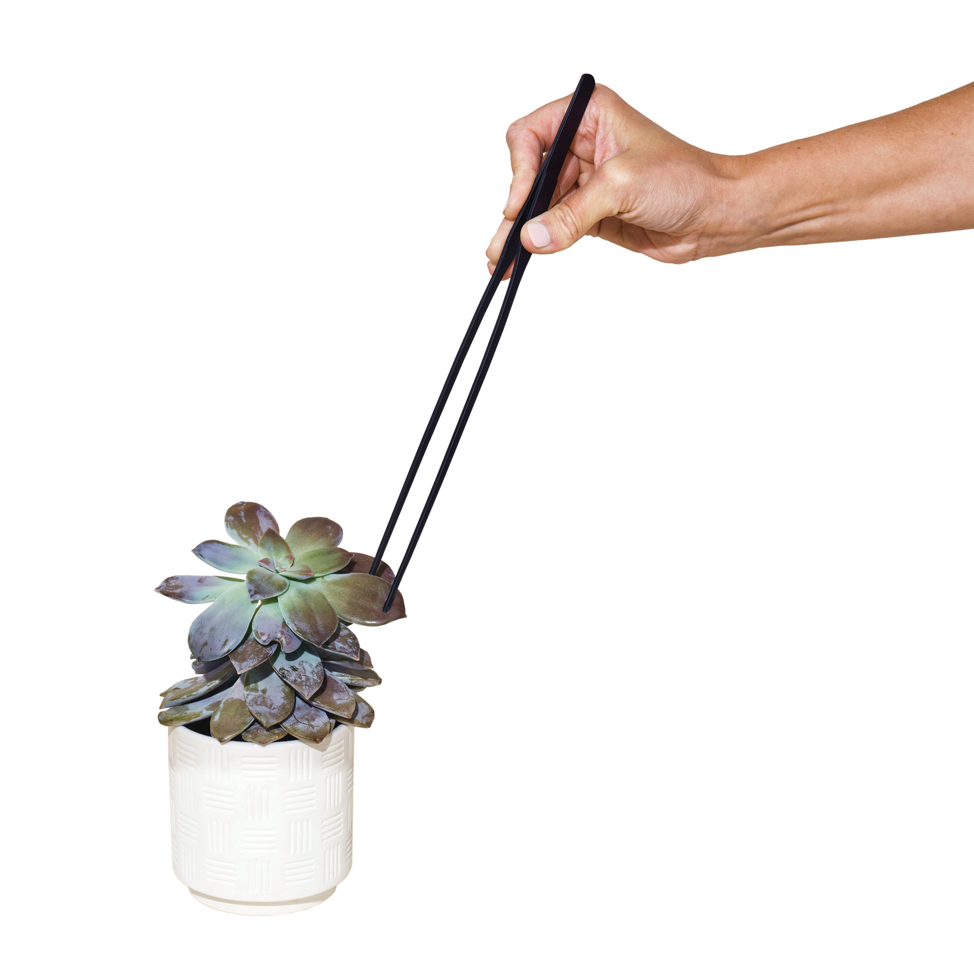 Picture of Modern Sprout Plant Parent Care Kit - Black