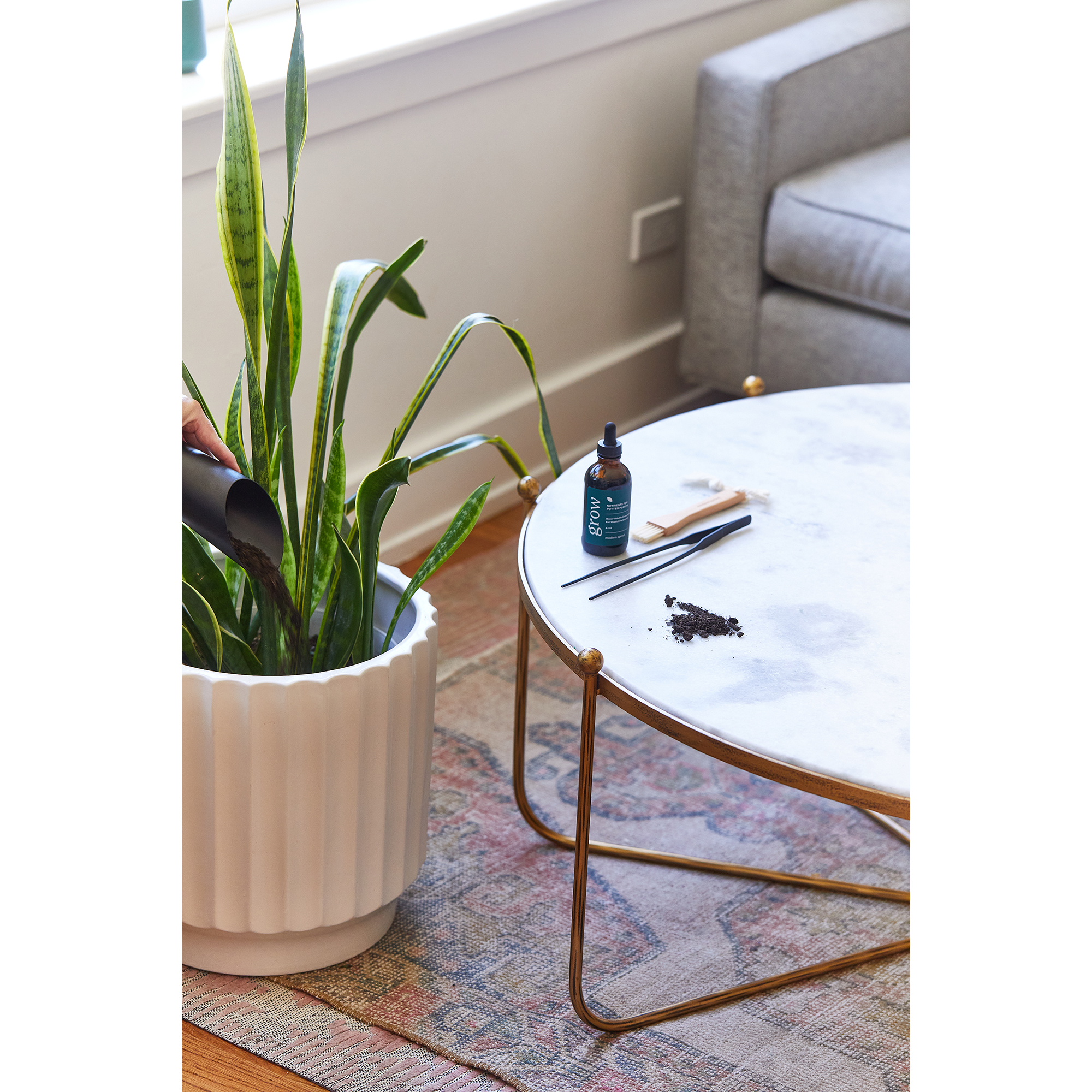 Picture of Modern Sprout Plant Parent Care Kit - Black