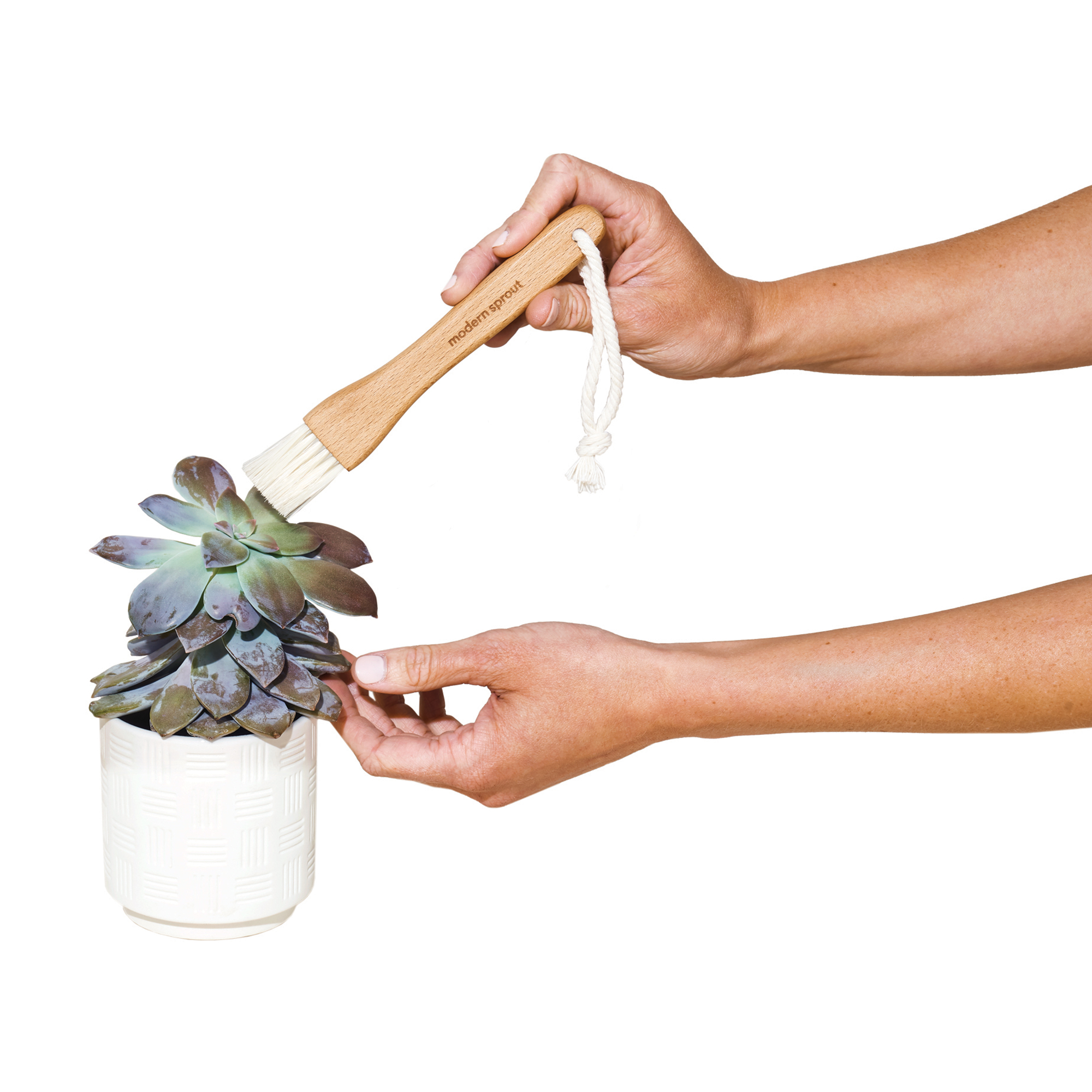 Picture of Modern Sprout Plant Parent Care Kit - Black