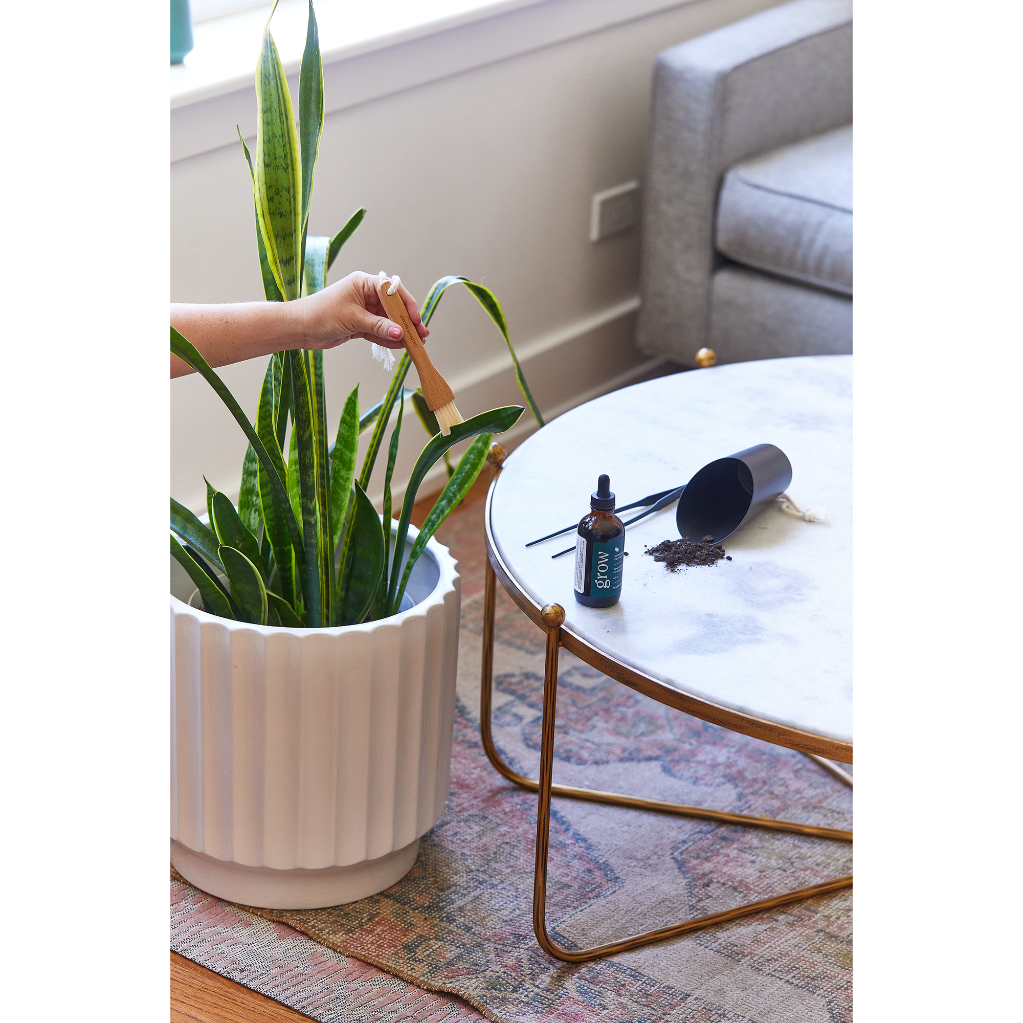 Picture of Modern Sprout Plant Parent Care Kit - Black