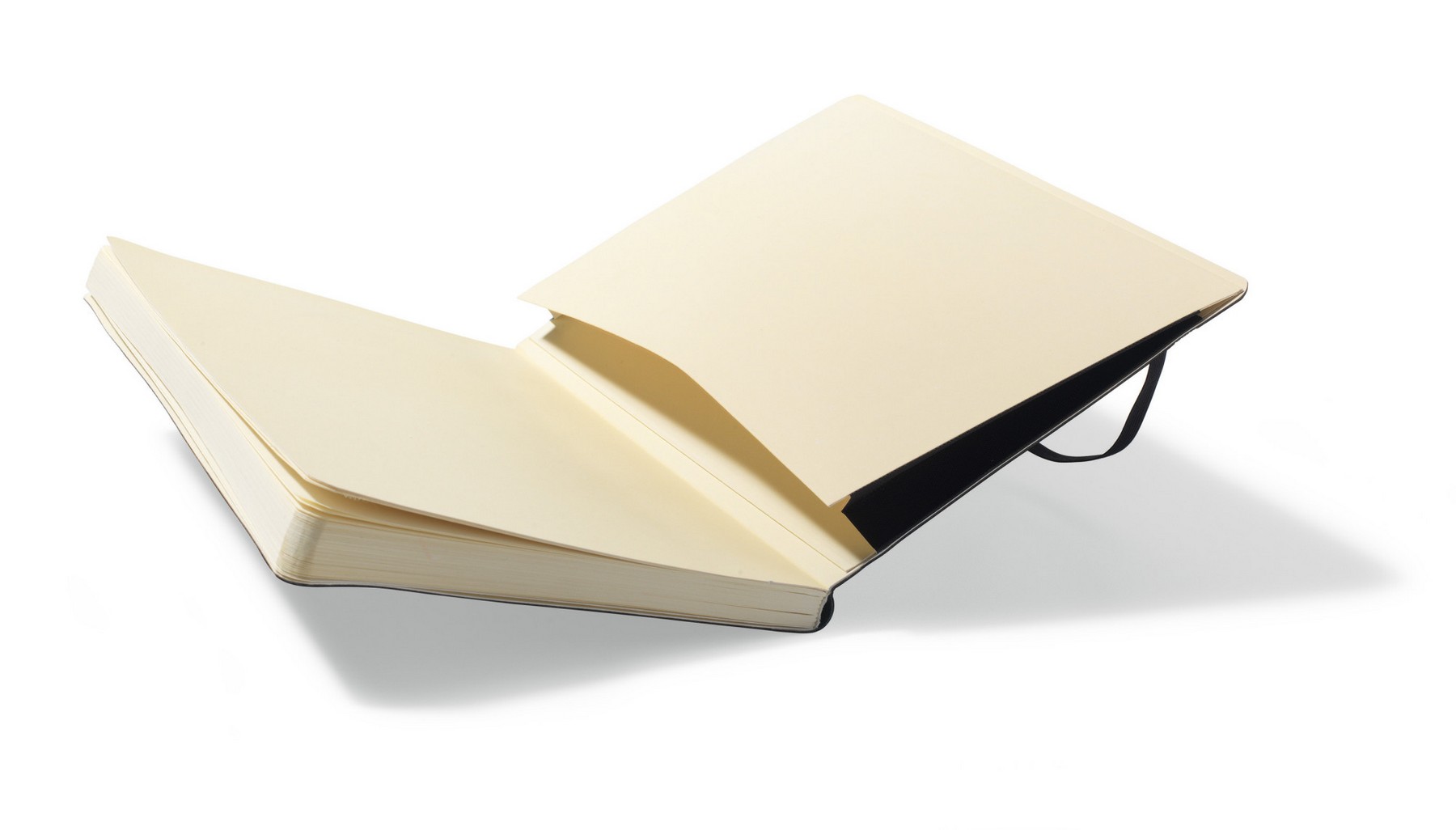 Picture of Moleskine Soft Cover Ruled Large Notebook - Black