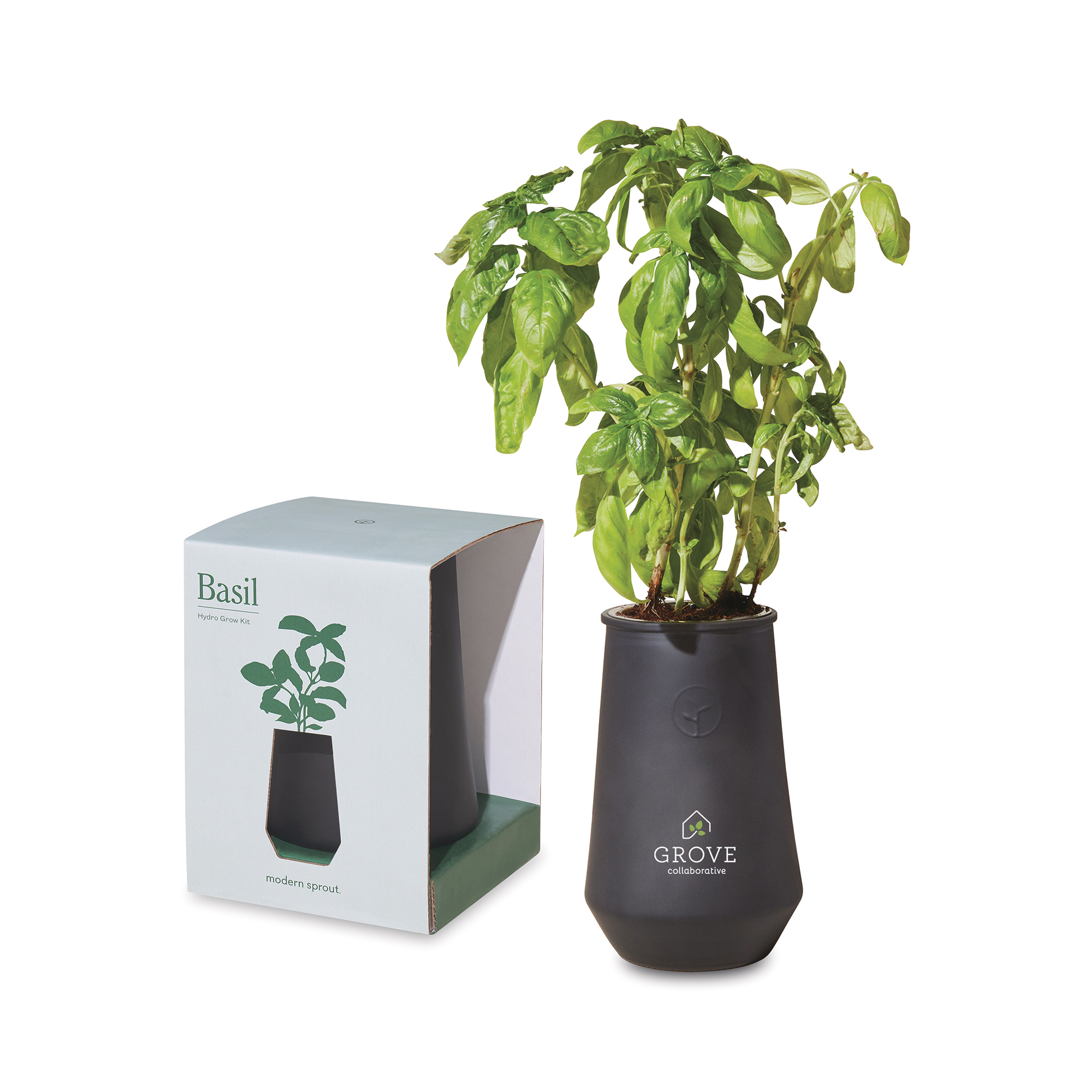 Picture of Modern Sprout Tapered Tumbler Grow Kit - Black-Basil