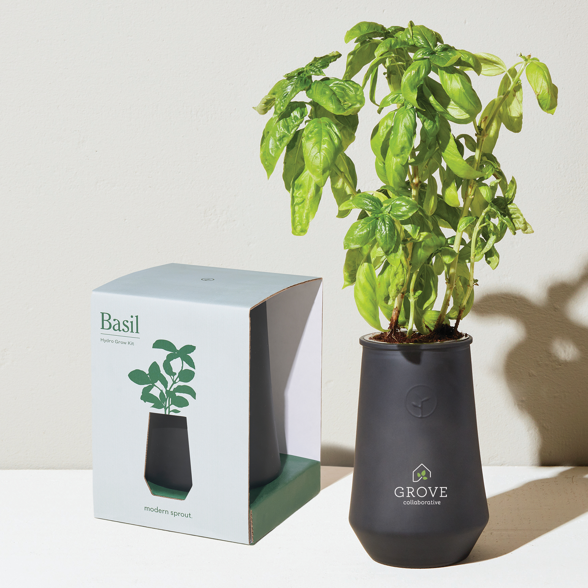 Picture of Modern Sprout Tapered Tumbler Grow Kit - Black-Basil