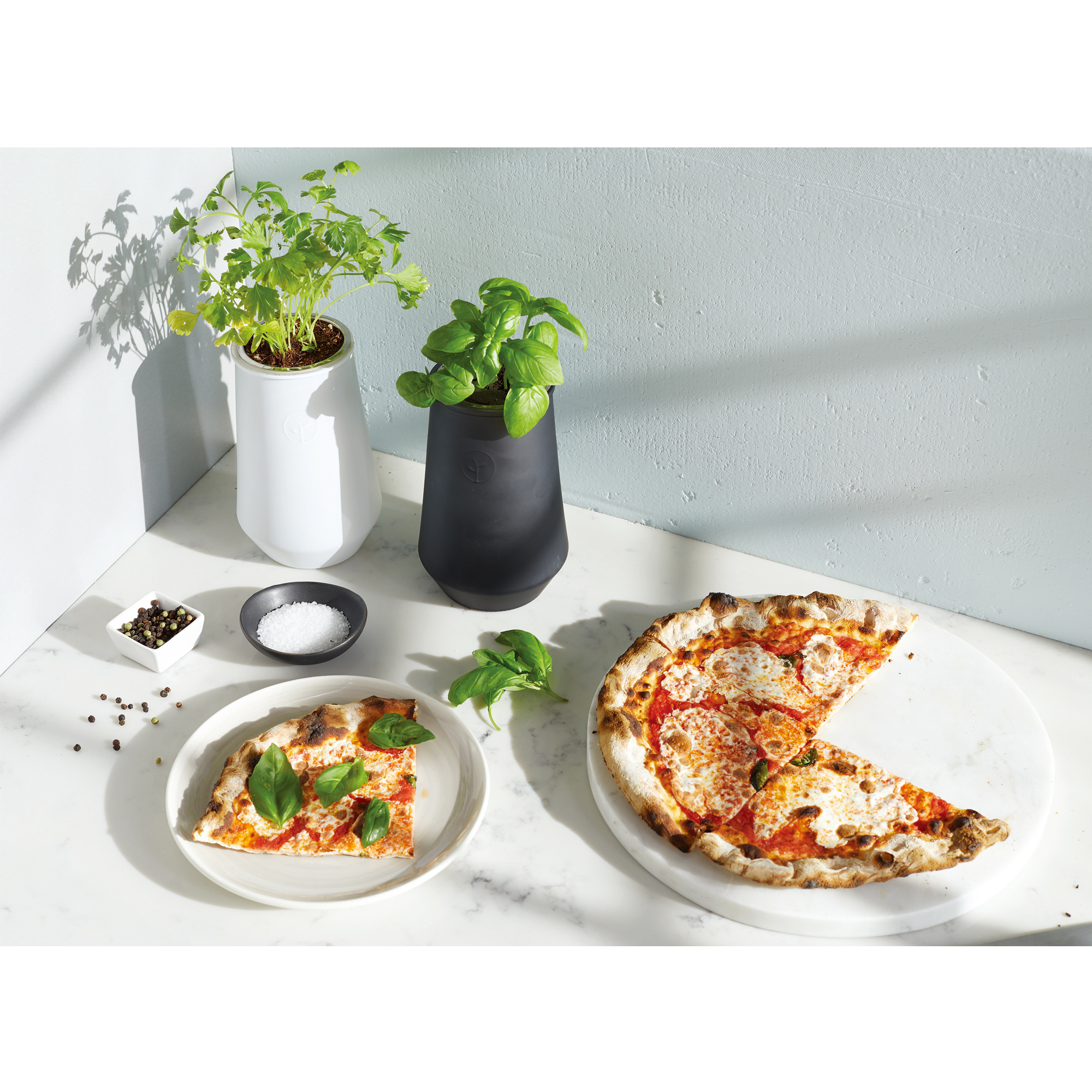 Picture of Modern Sprout Tapered Tumbler Grow Kit - Black-Basil