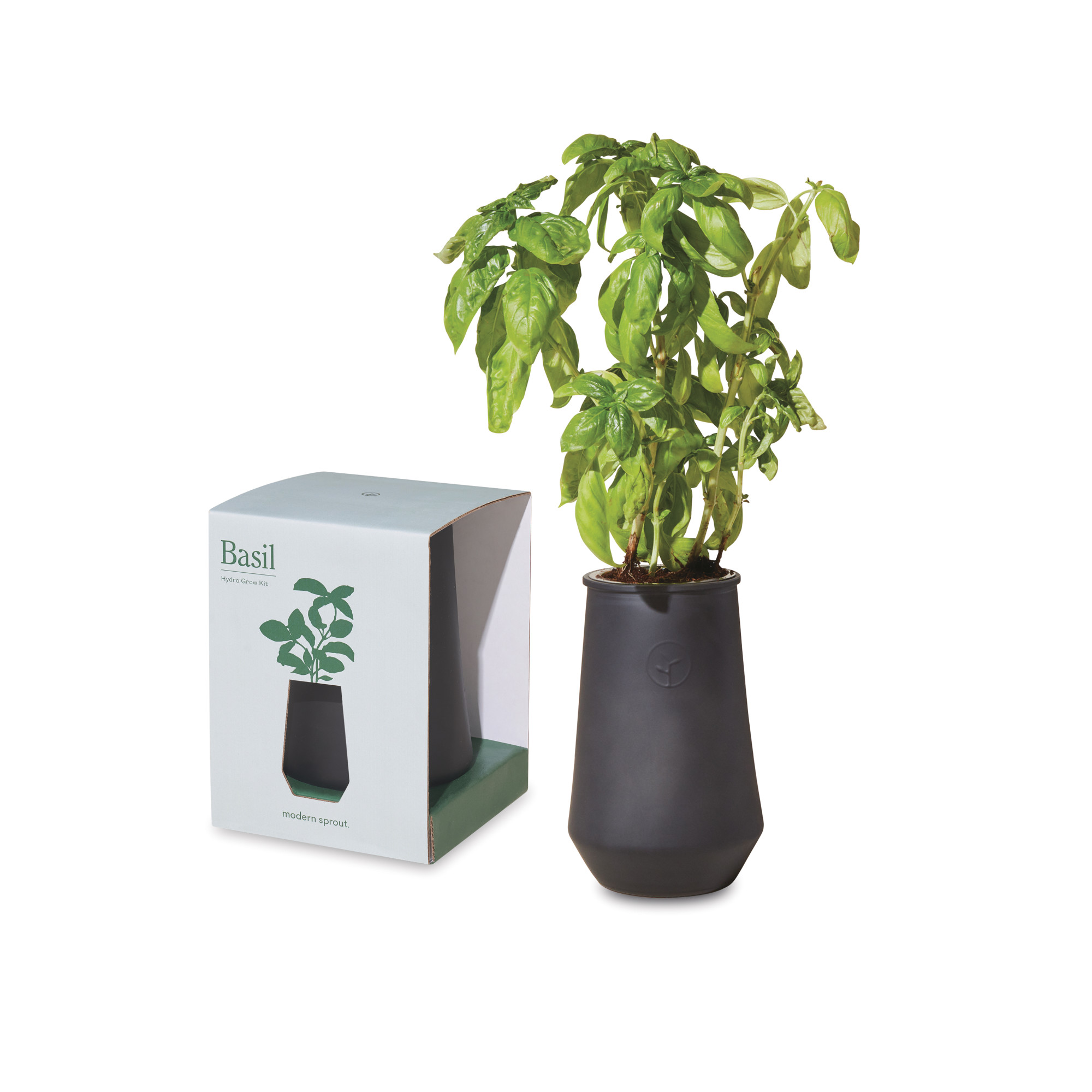 Picture of Modern Sprout Tapered Tumbler Grow Kit - Black-Basil
