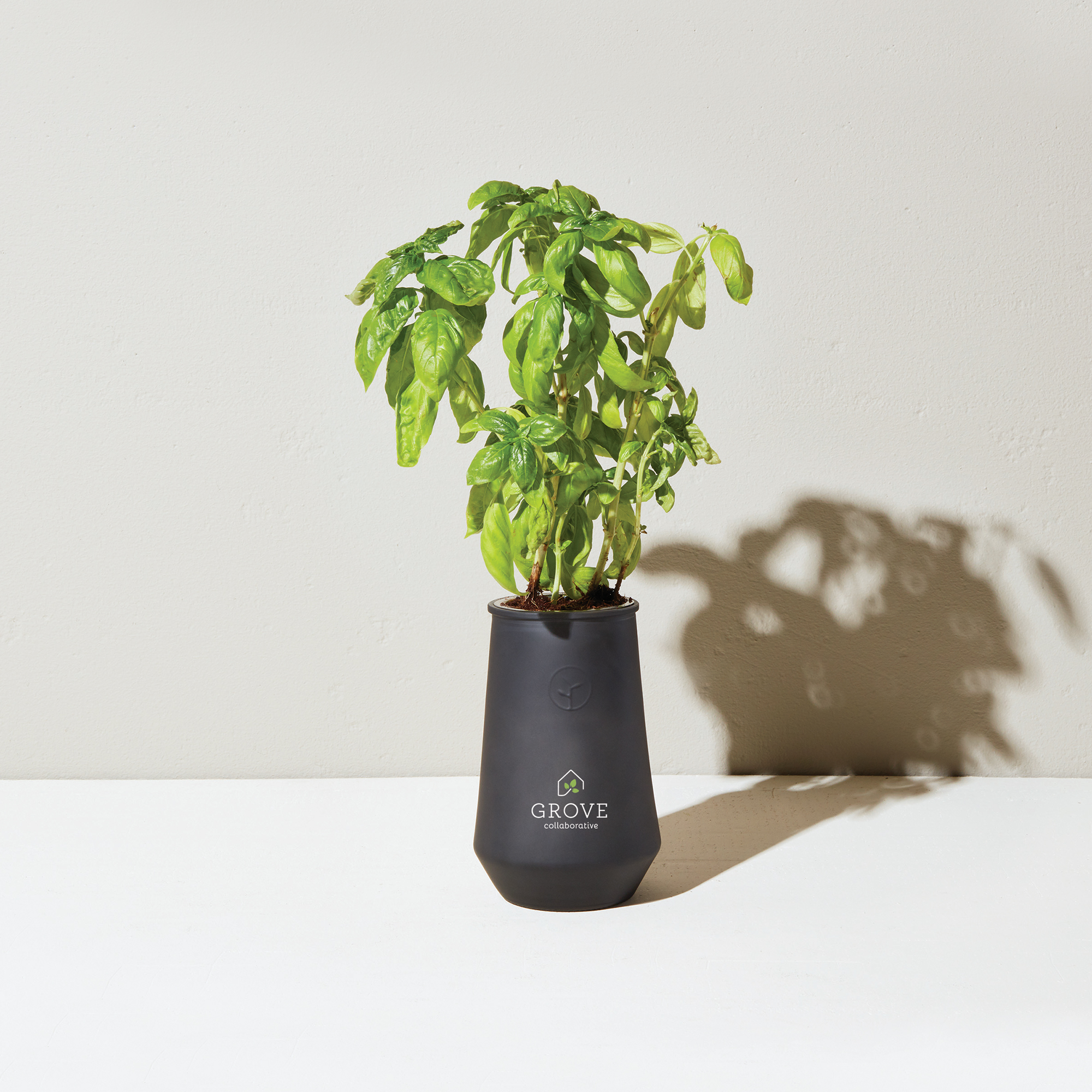 Picture of Modern Sprout Tapered Tumbler Grow Kit - Black-Basil