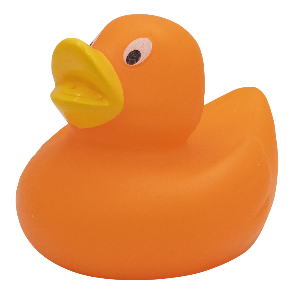 Picture of Lil' Rubber Duck