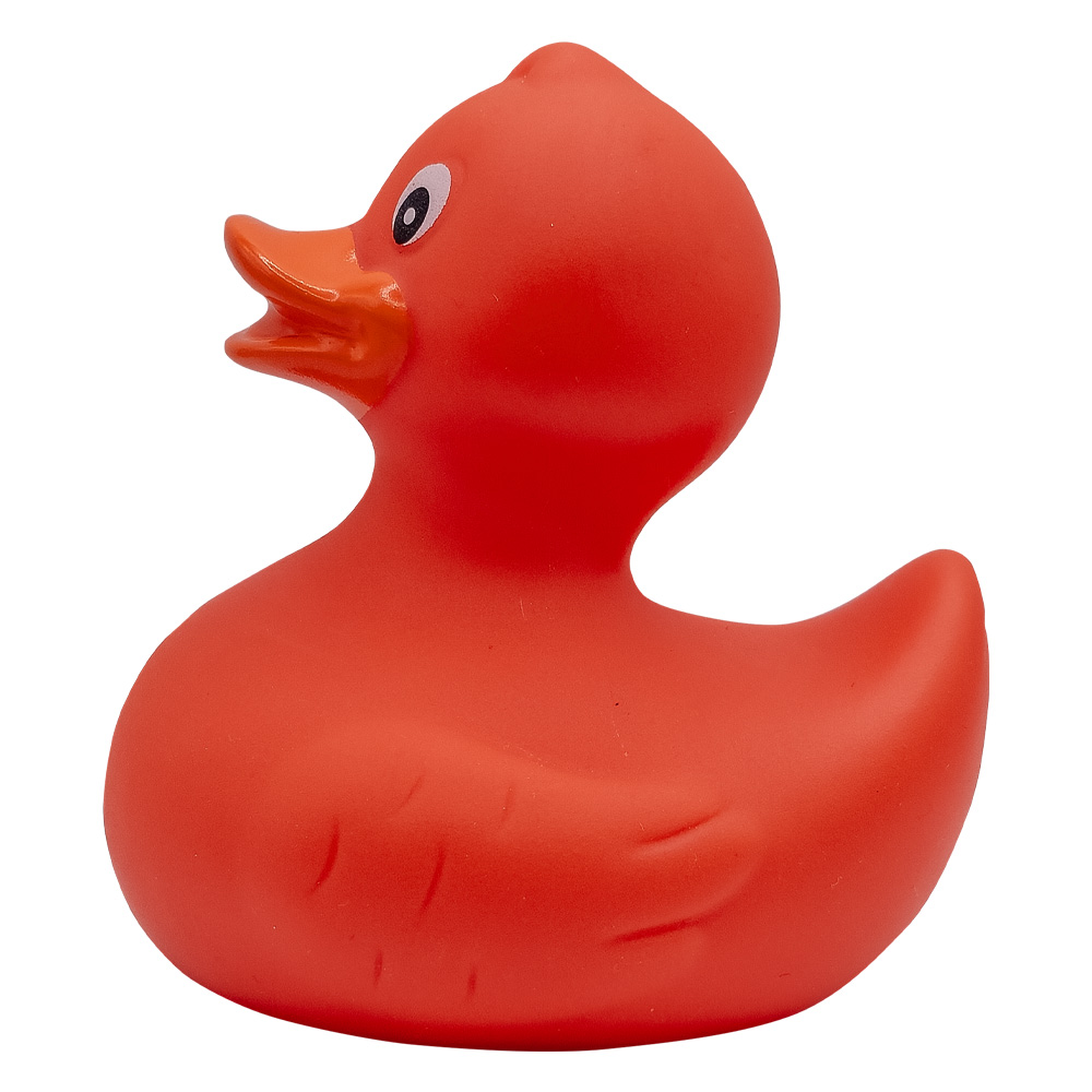 Picture of Rubber Duck