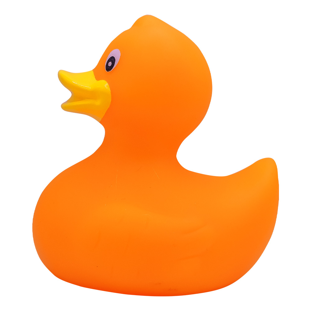 Picture of Rubber Duck